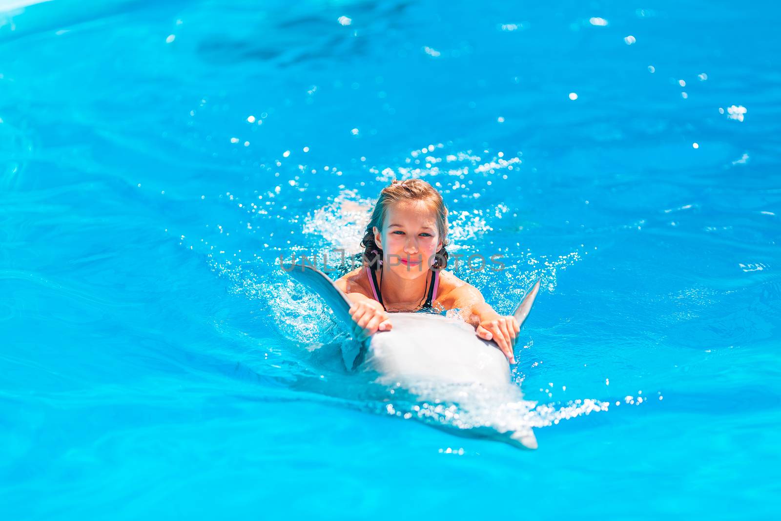 Happy little girl swimming with dolphins in Dolphinarium. Swimming, bathing and communication with dolphins.