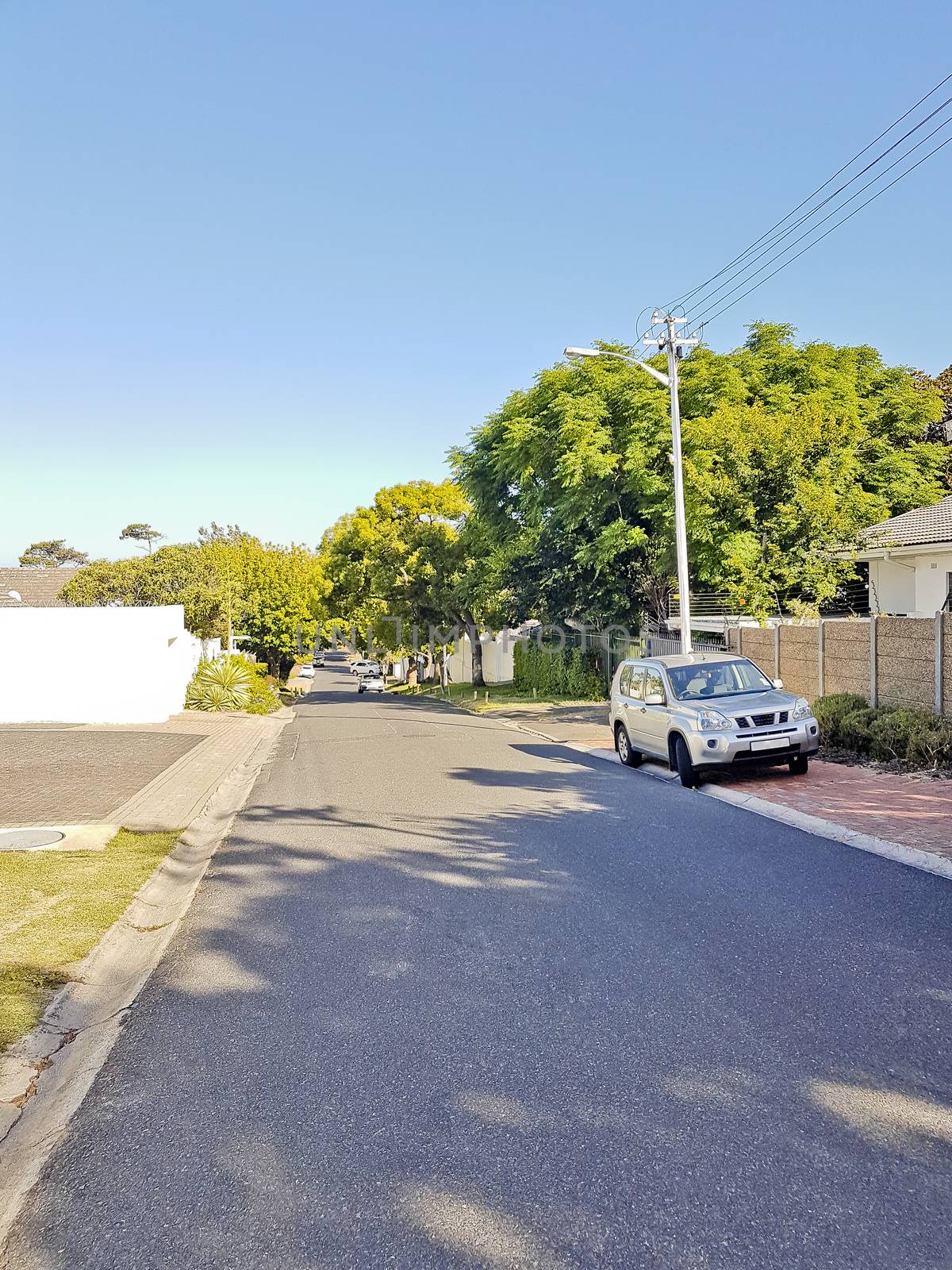 Street in Claremont, Cape Town, South Africa. Sunny weather by Arkadij