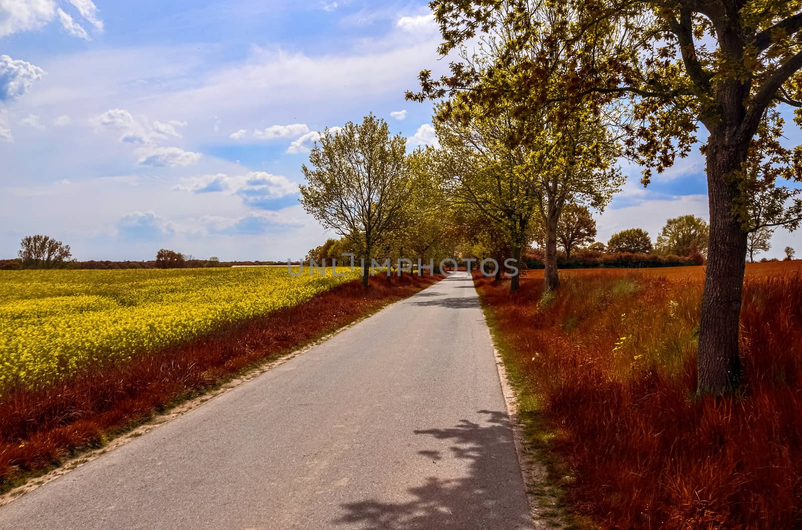 Beautiful panorama view on a golden autumn landscape found in eu by MP_foto71