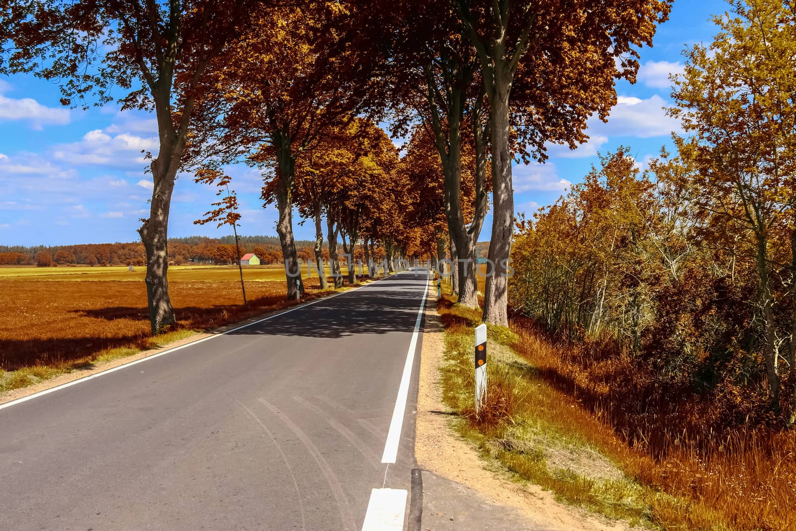 Beautiful panorama view on a golden autumn landscape in the middle of october