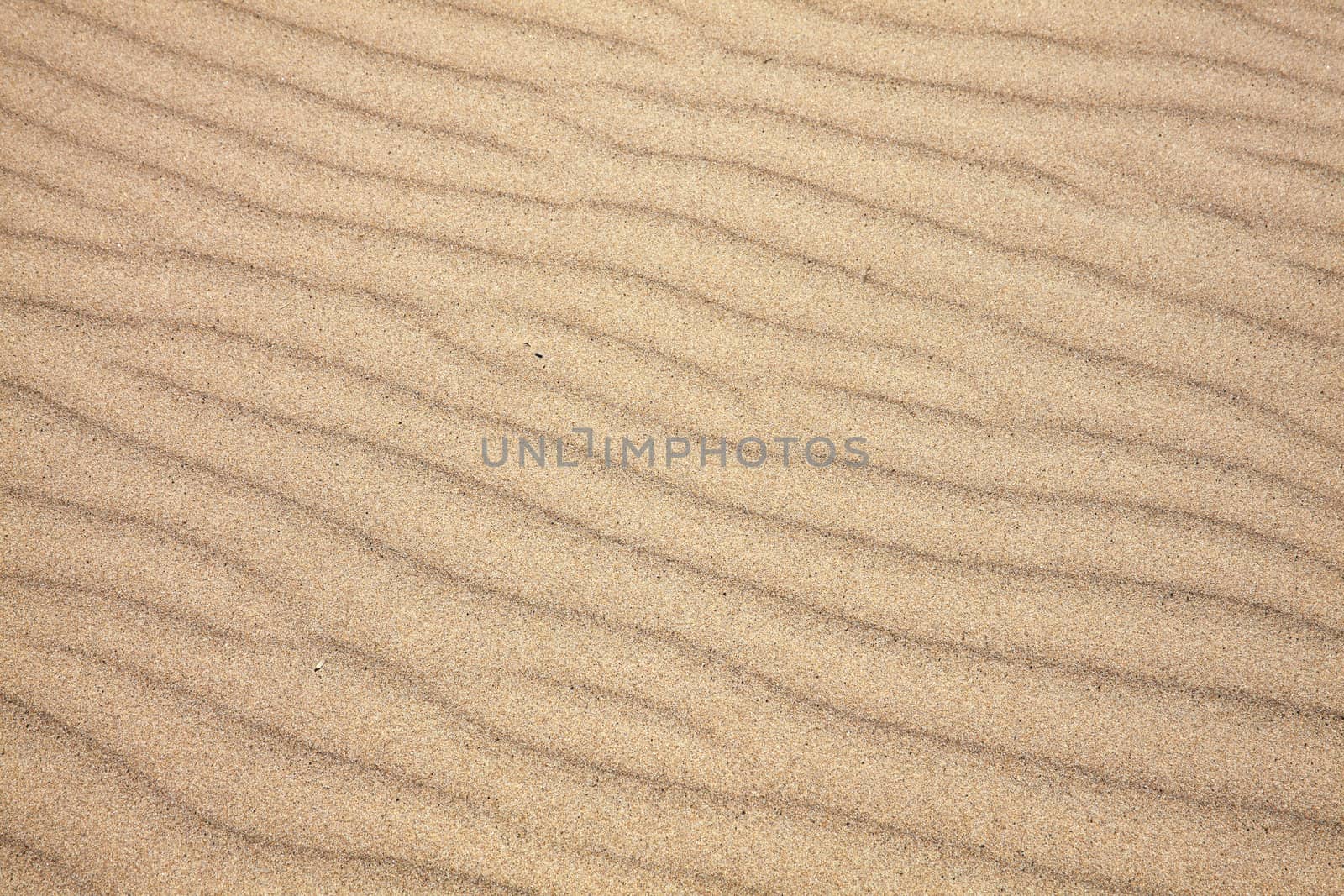 Background texture of beach sand ripples found on a coastline coast