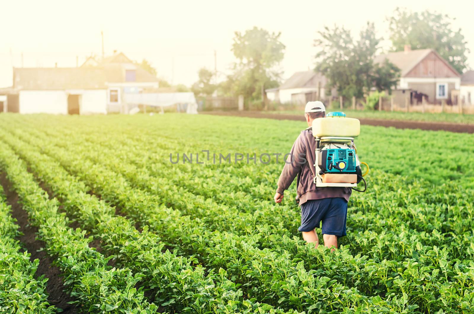 A farmer with a sprayer walks through the potato plantation. Treatment of the farm field against insect pests and fungal infections. Use chemicals in agriculture. Agriculture and agribusiness