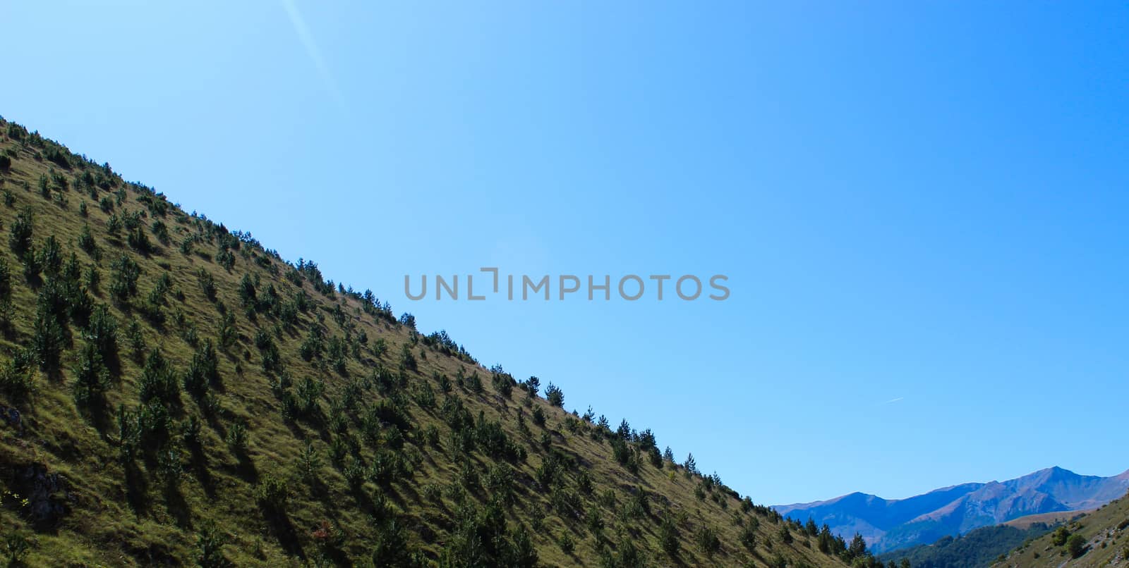 A steep hill forested with coniferous trees. In background mountains. Cloudless sky. On the way to the mountain Bjelasnica, Bosnia and Herzegovina.