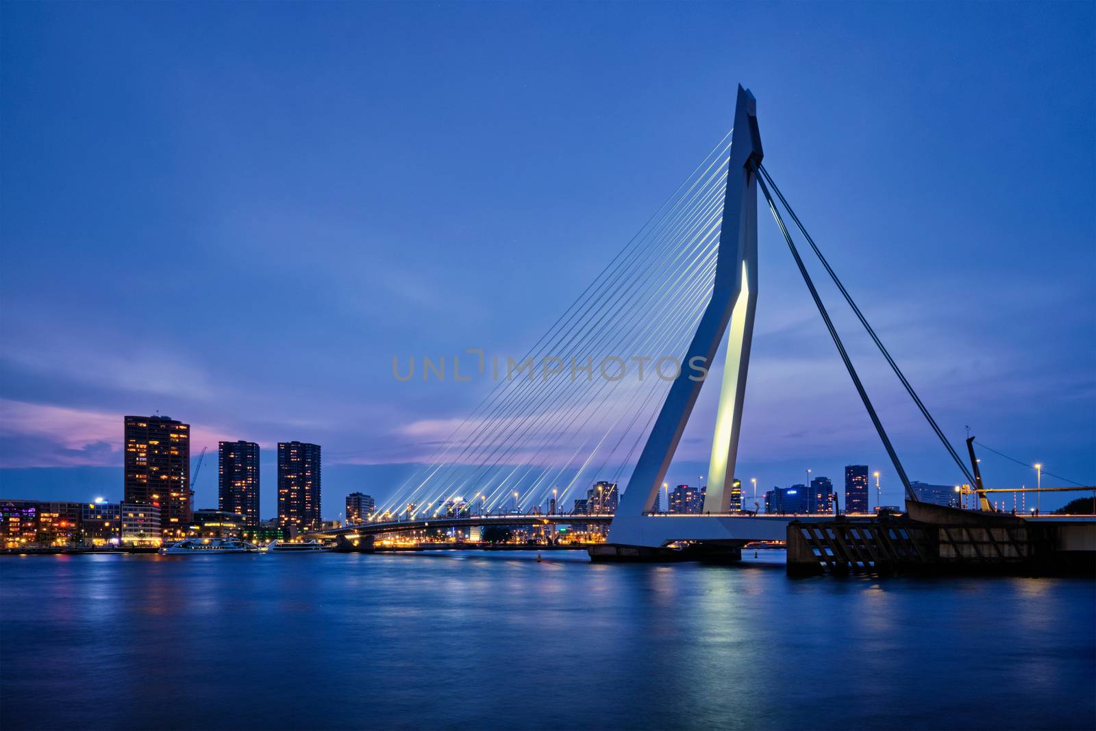 Erasmus Bridge, Rotterdam, Netherlands by dimol