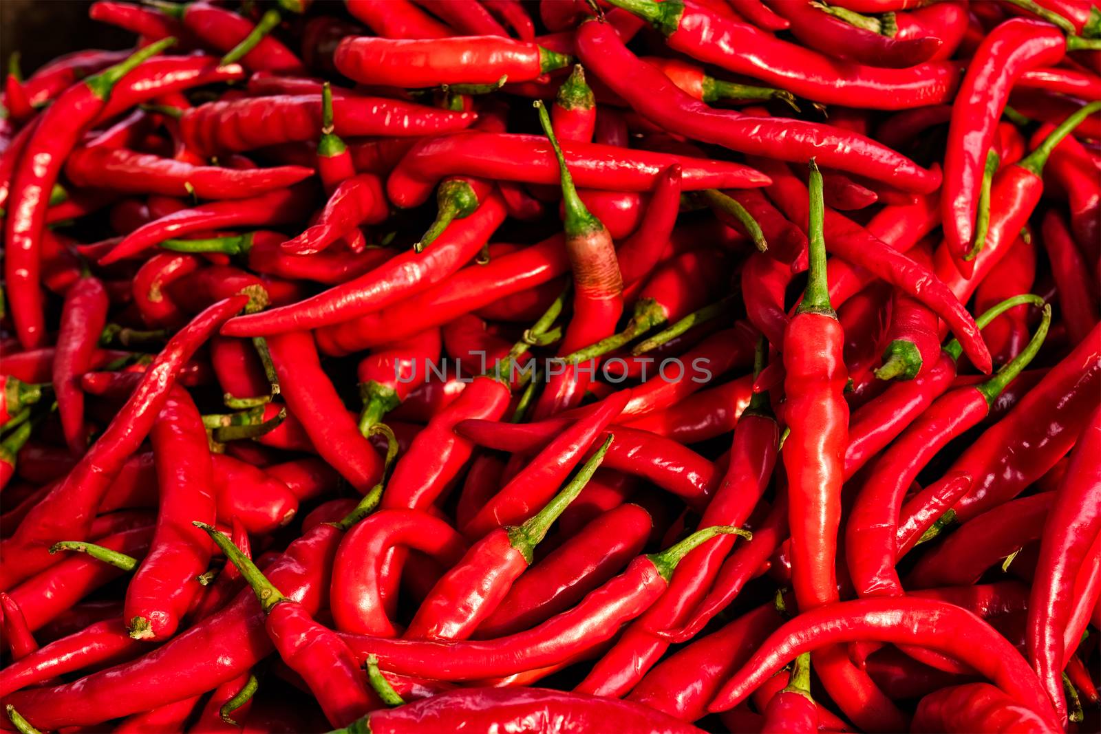 Red spicy chili peppers pile at asian market close up texture background. Sardar Market, Jodhpur, Rajasthan, India