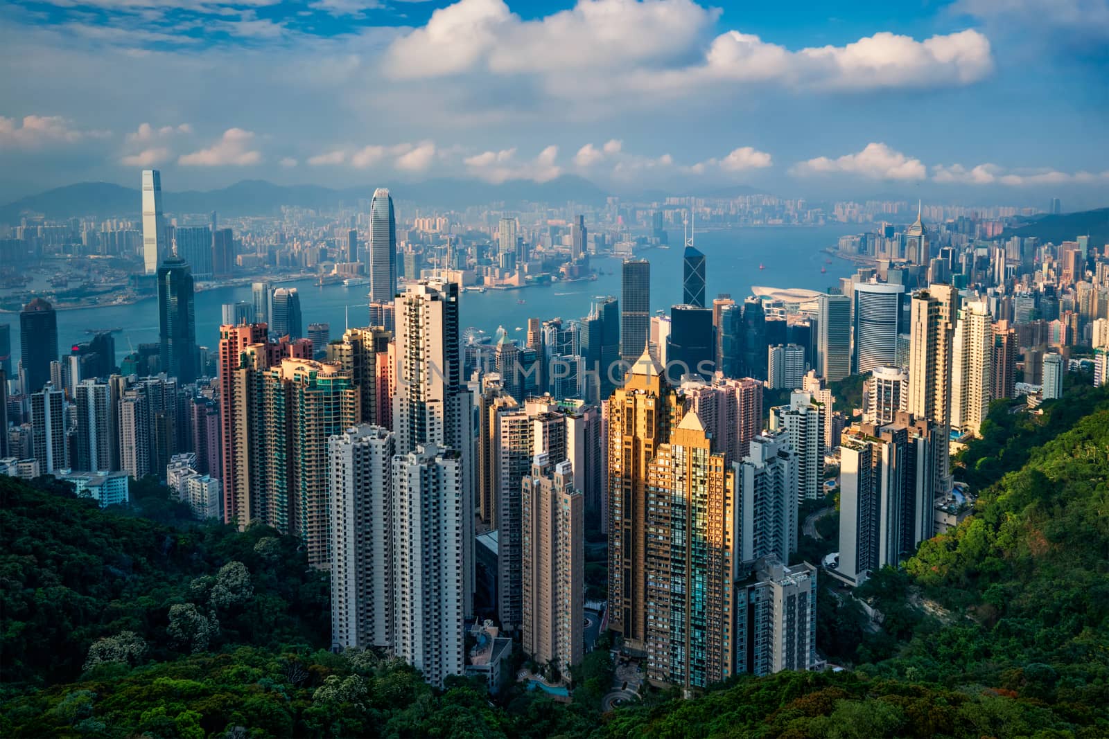 Hong Kong skyscrapers skyline cityscape view by dimol