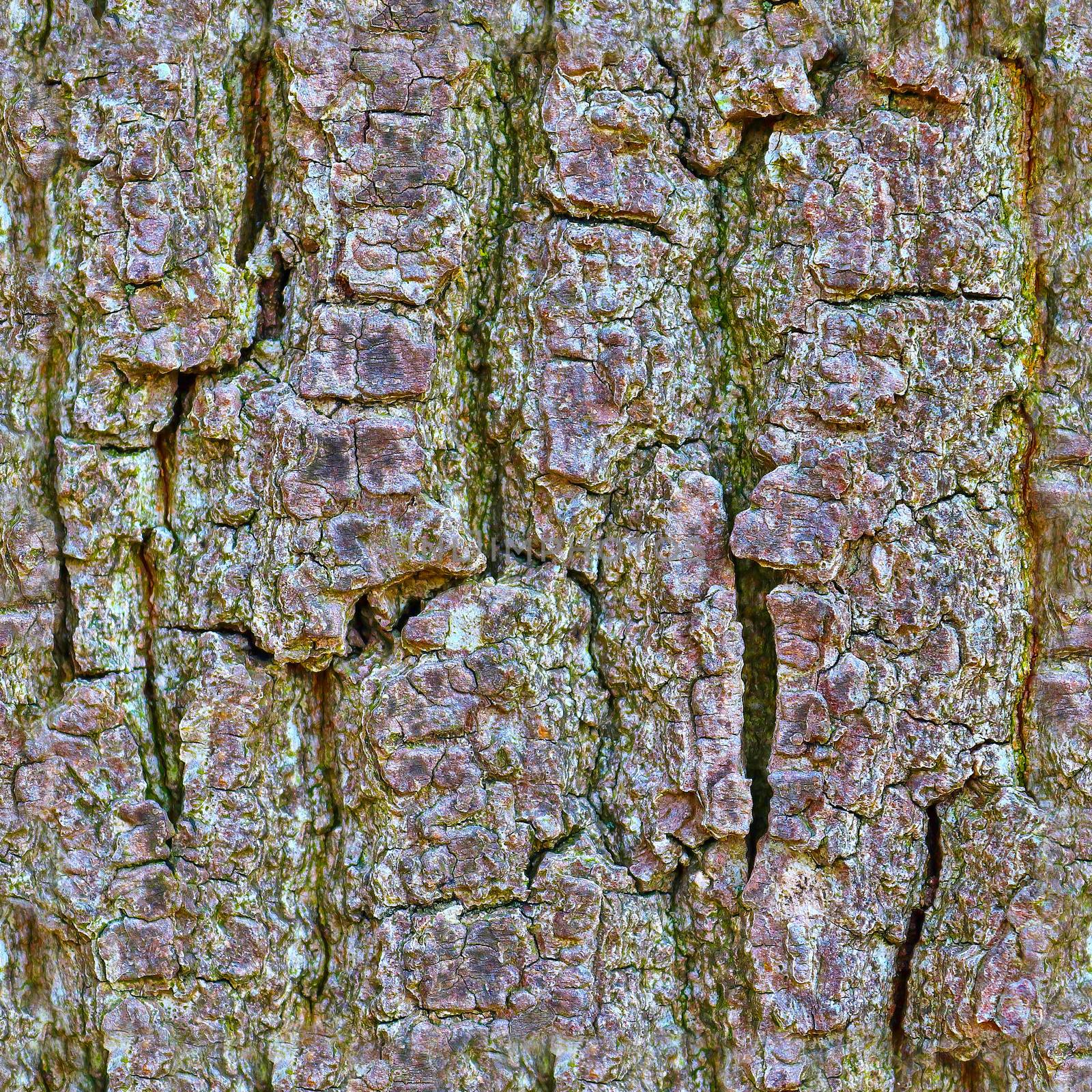 High resolution photo realistic seamless texture pattern of tree by MP_foto71