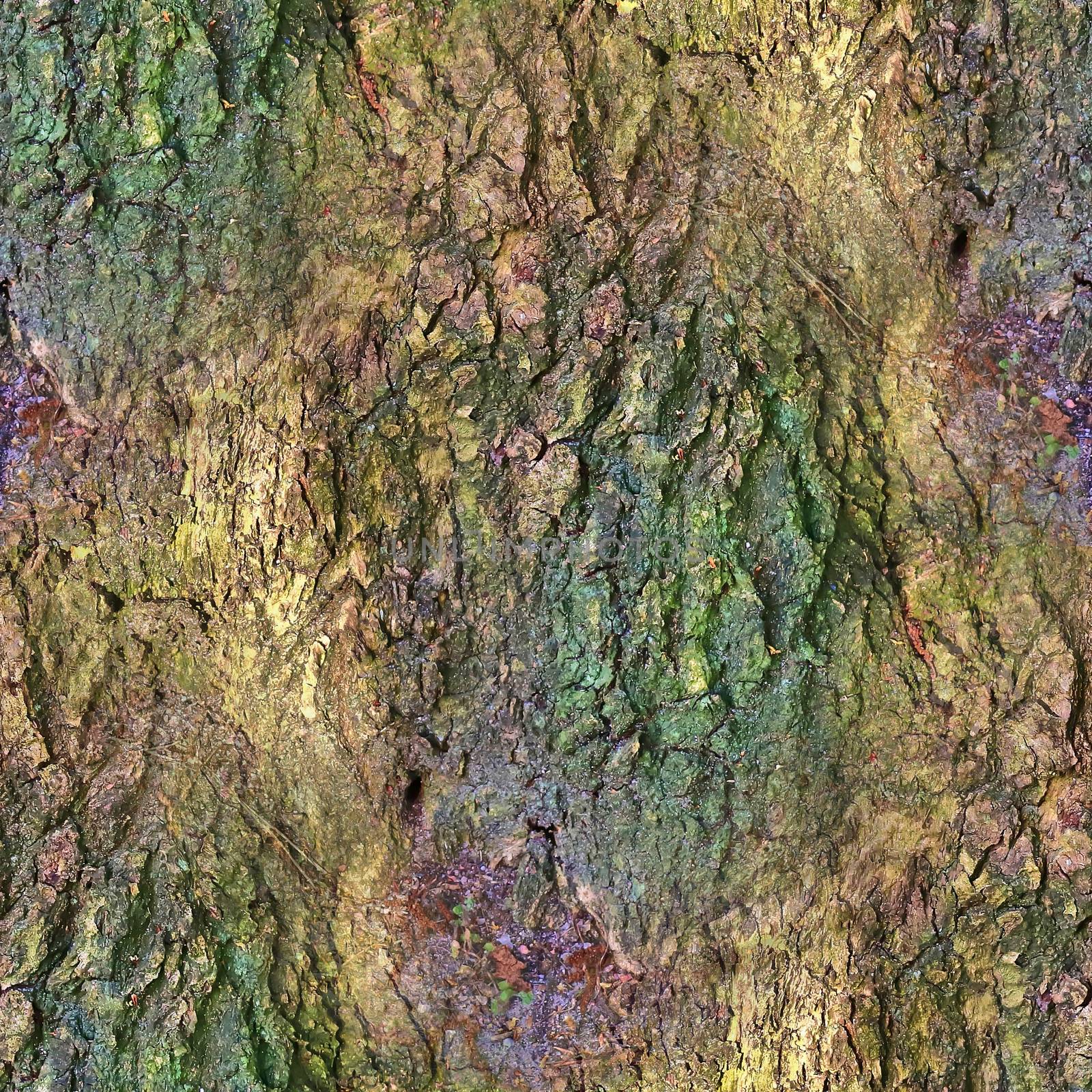 Photo realistic seamless texture pattern of tree bark in high resolution