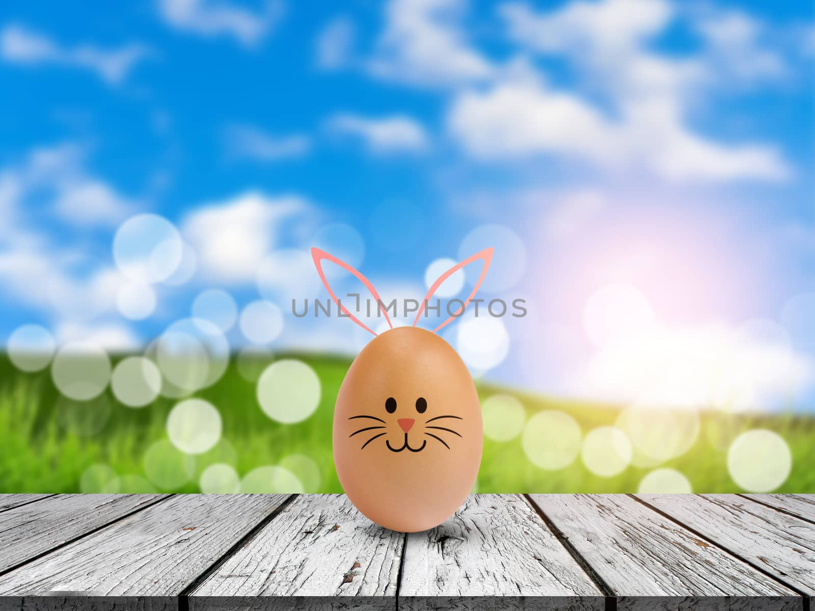 cute bunny egg on table with nature