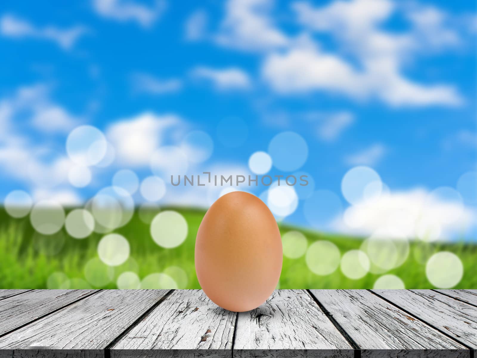 egg on table with nature