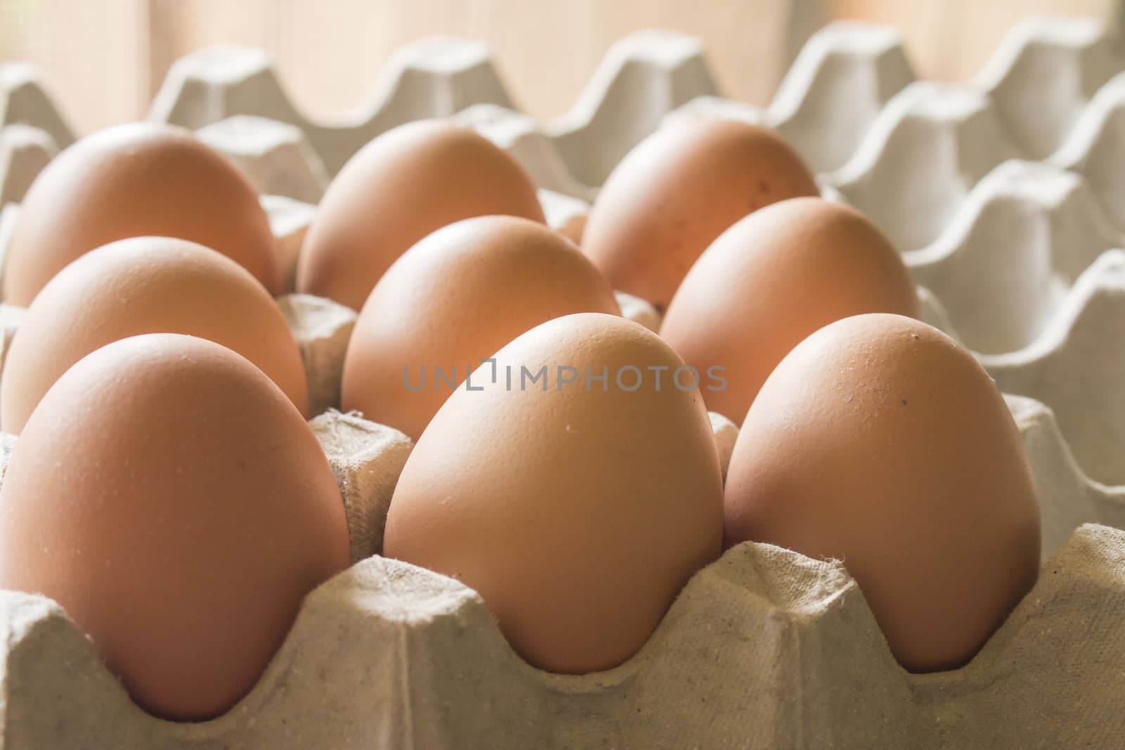 Close up chicken eggs in a tray on paper