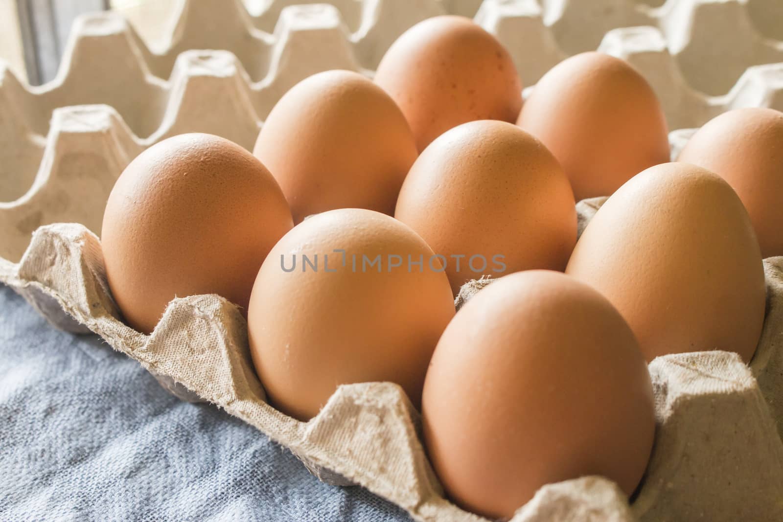  chicken eggs in a tray on paper,selective focus