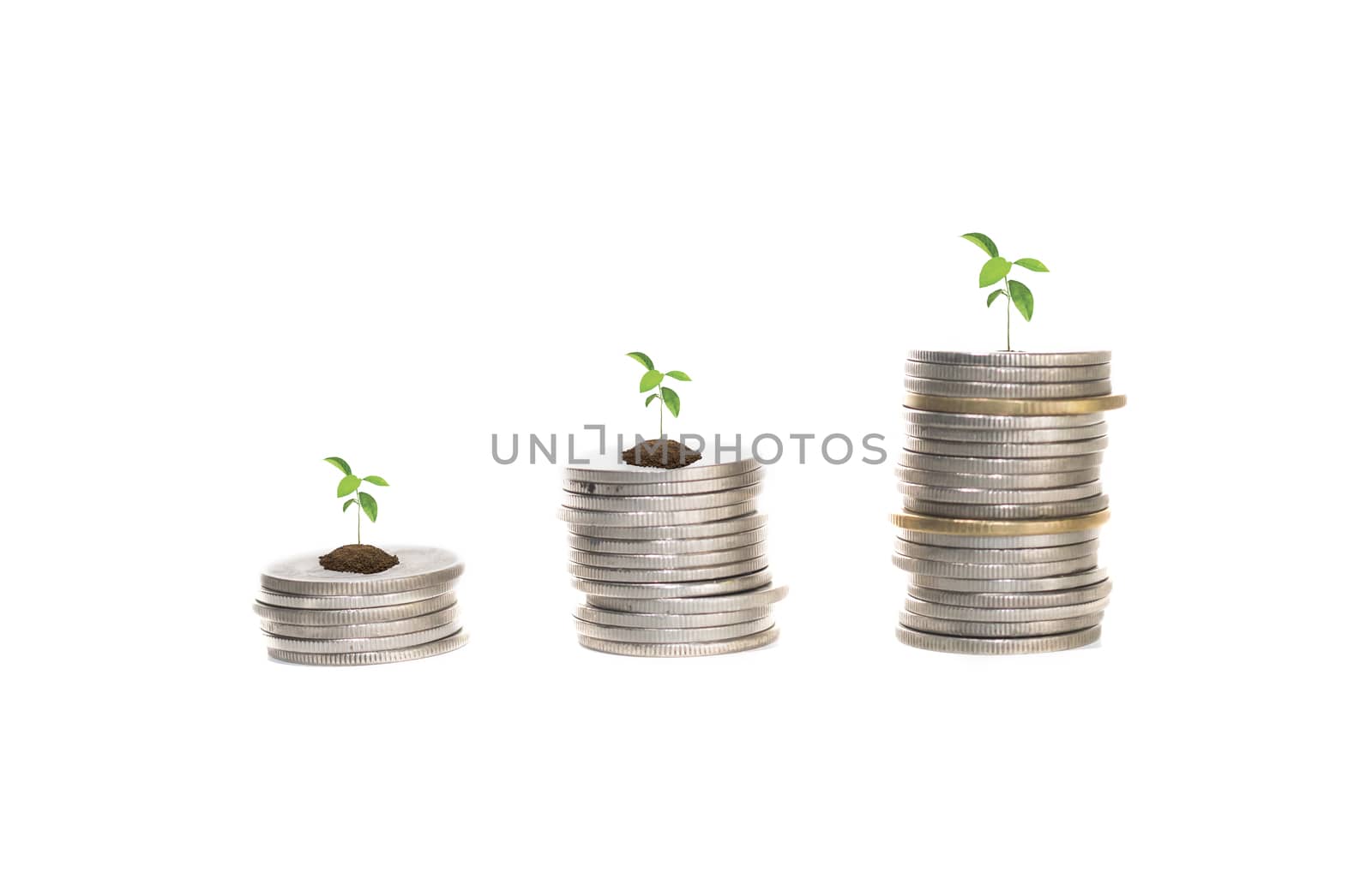  coins stacks with tree growing on top, saving and investment or business planing