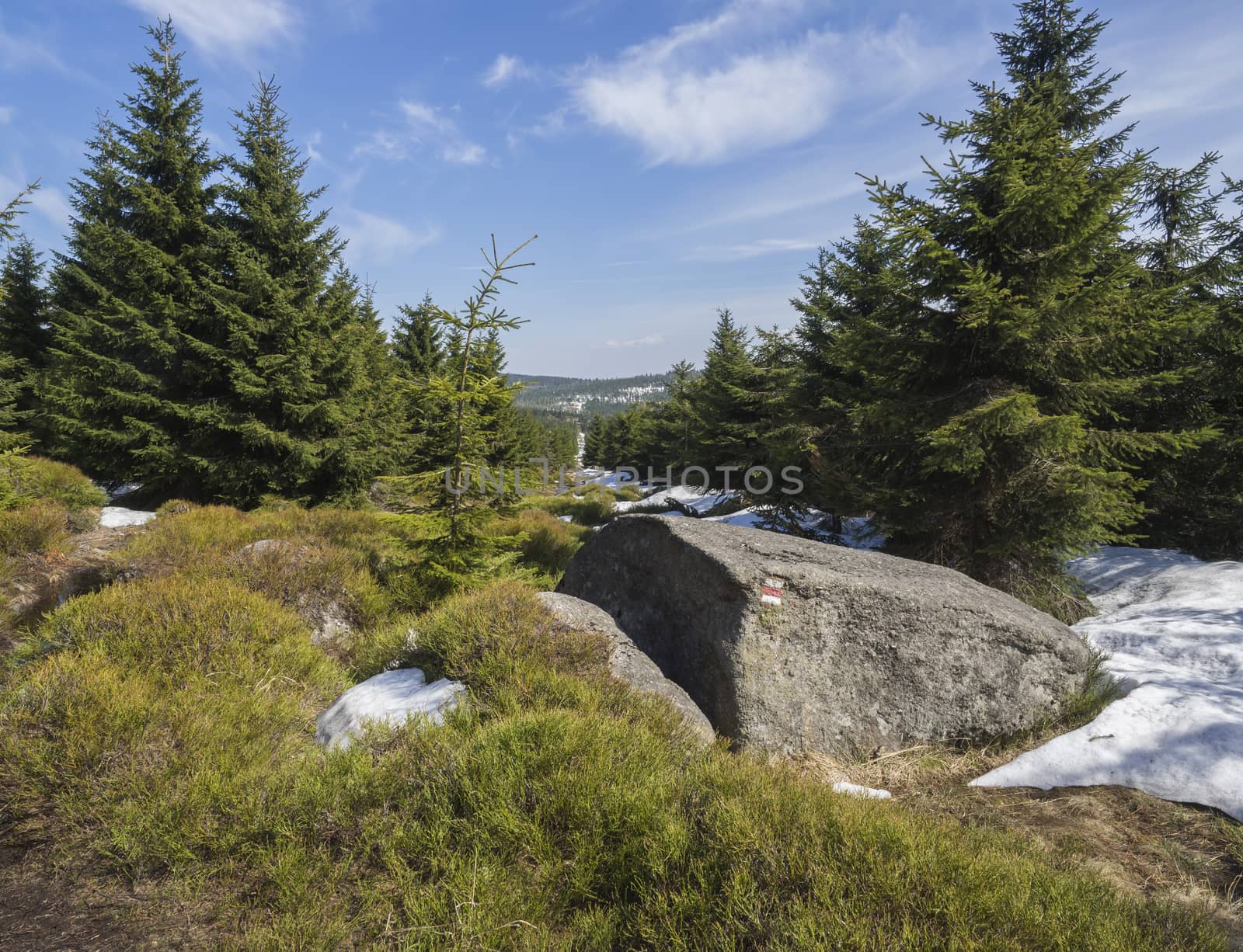 Jizera Mountains jizerske hory panoramic landscape, view from ridge of holubnik mountain with lush green spruce forest, trees, boulders and blue sky background, springtime with snow remains.