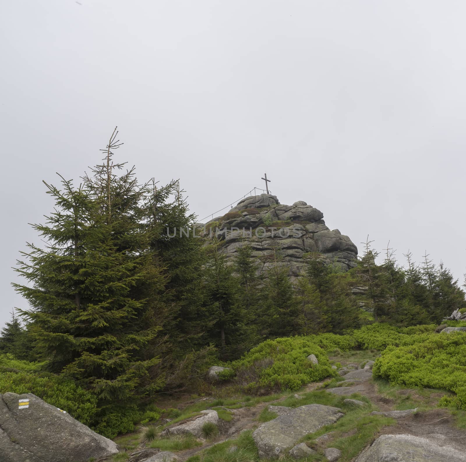 view on the top peak of Jizera mountain rock with big cross in moody day, fog trees