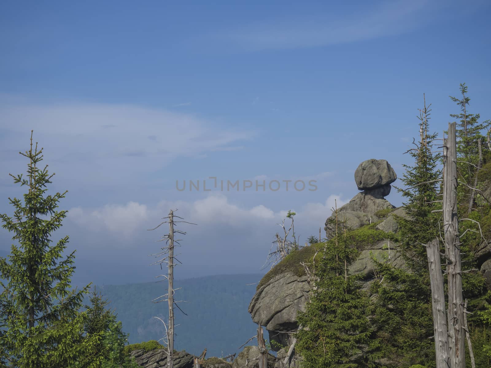 Jizera Mountains (jizerske hory) landscape, view from hill Frydlantske cimburi, Friedlander Zinne with head shape boulderstone, lush green spruce forest and blue sky, white clouds background, springtime