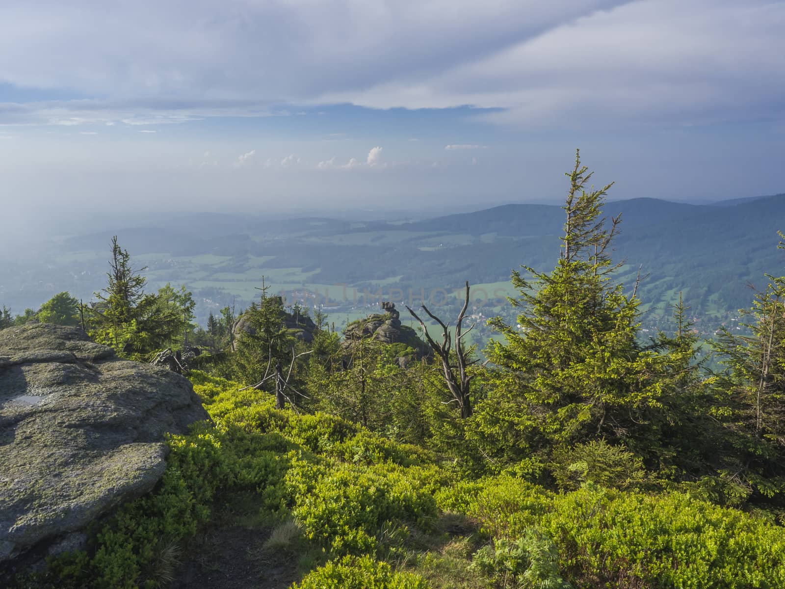 Jizera Mountains (jizerske hory) panorama, view from hill Frydlantske cimburi, Friedlander Zinne with lush green spruce forest and blue sky, white clouds background, springtime