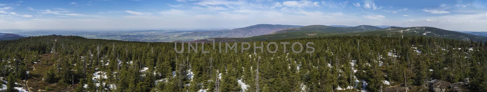 wide panoramic landscape of Jizera Mountains jizerske hory, view from peak of holubnik mountain with lush green spruce forest, trees, hills and fields springtime with snow remains, blue sky background.