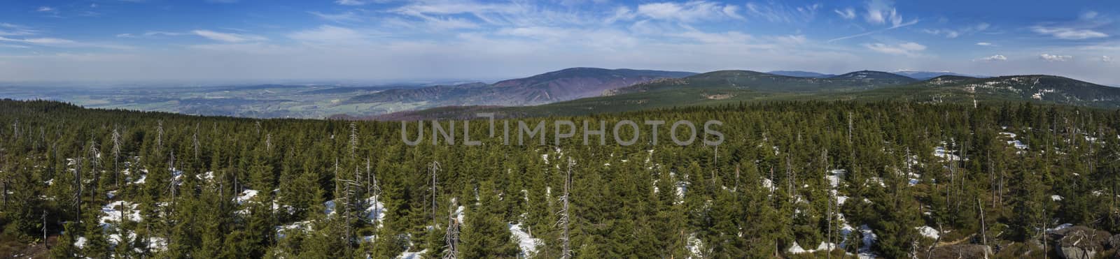 Jizera Mountains jizerske hory panoramic landscape, view from peak of holubnik mountain with lush green spruce forest, trees, boulders and blue sky background, springtime with snow remains by Henkeova