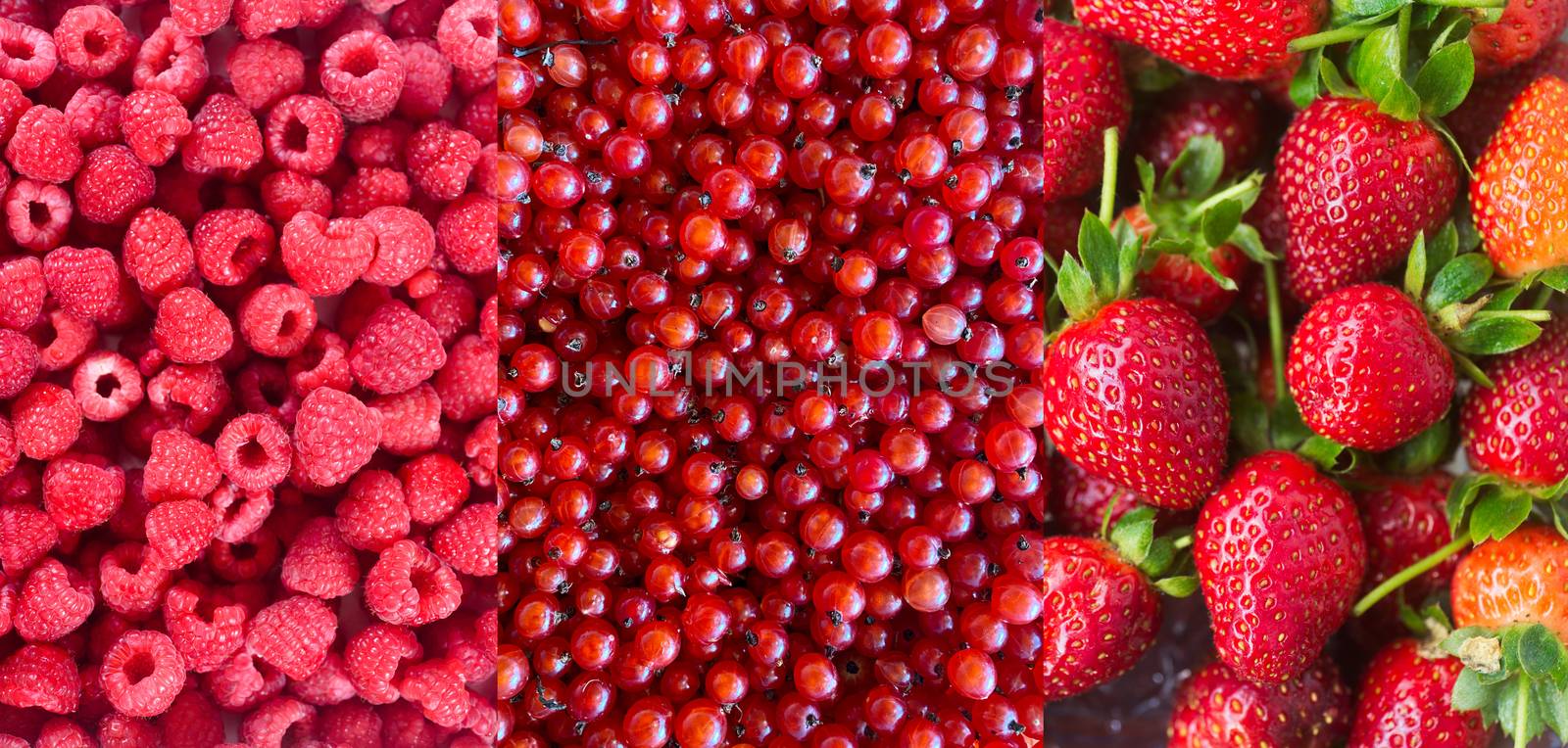  red berries currant, raspberry and strawberry Natural backgroun by Margolana