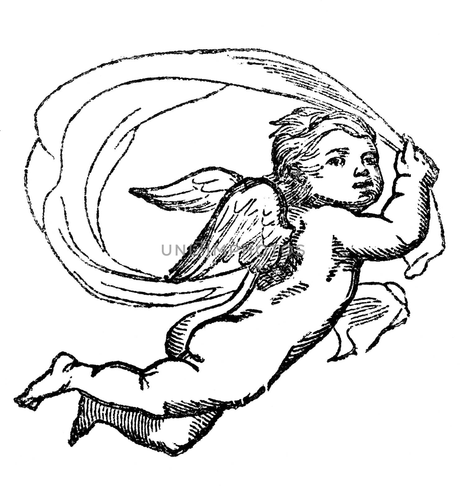 An engraved vintage love romance illustration image of  a cherub angel, from a Victorian book dated 1856 that is no longer in copyright