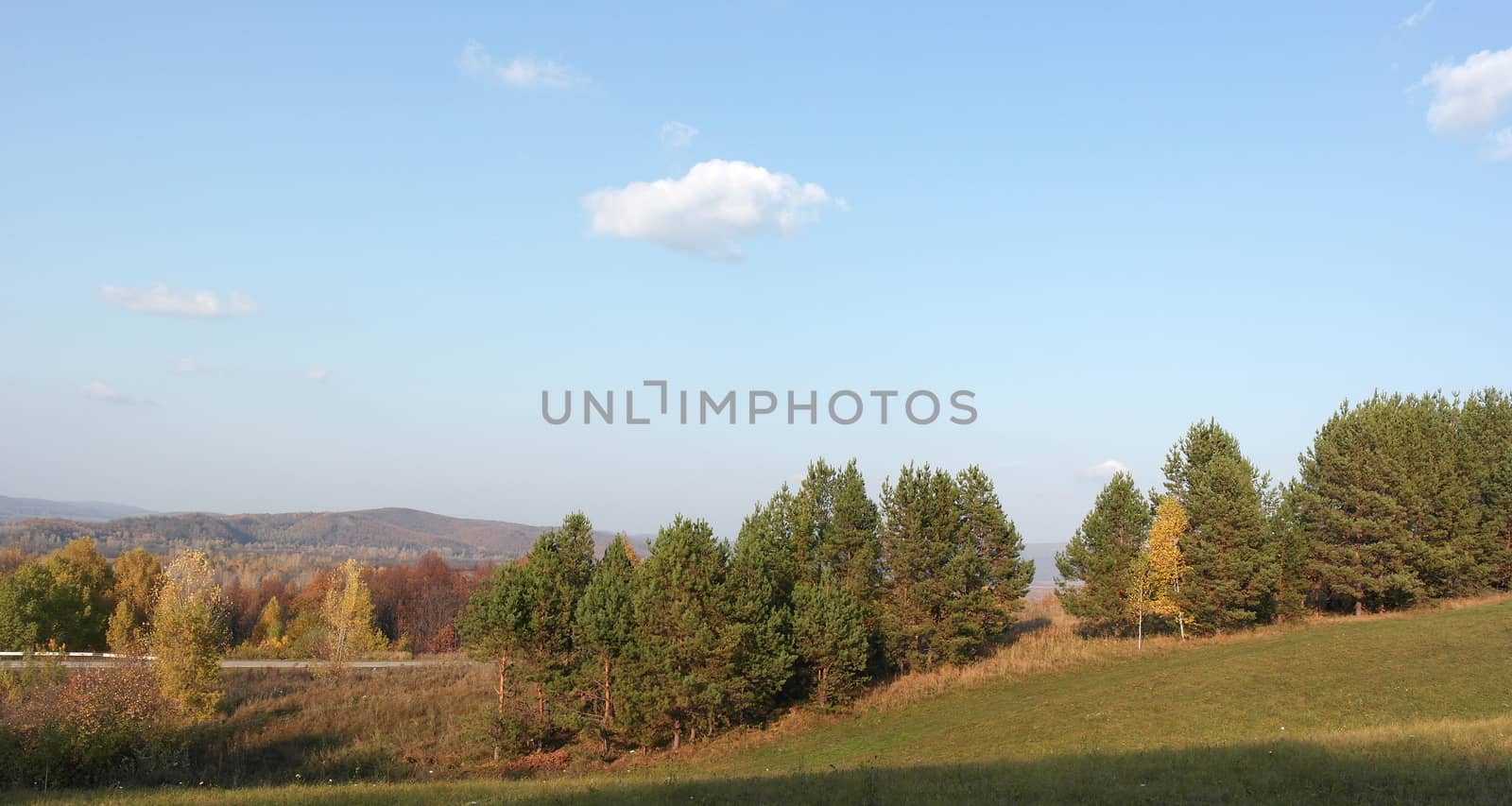 Beautiful autumn landscape with trees on the hill