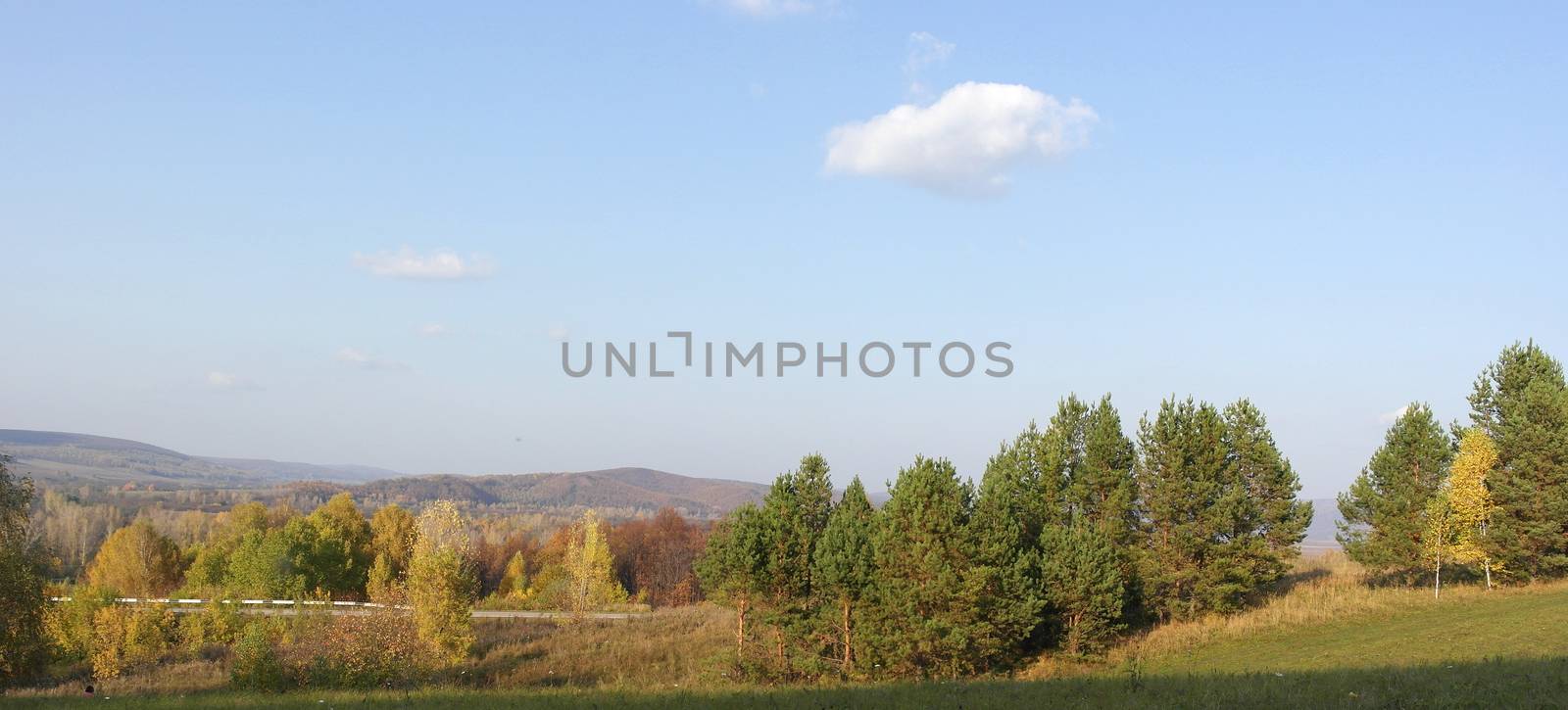 Beautiful autumn landscape with trees on the hill