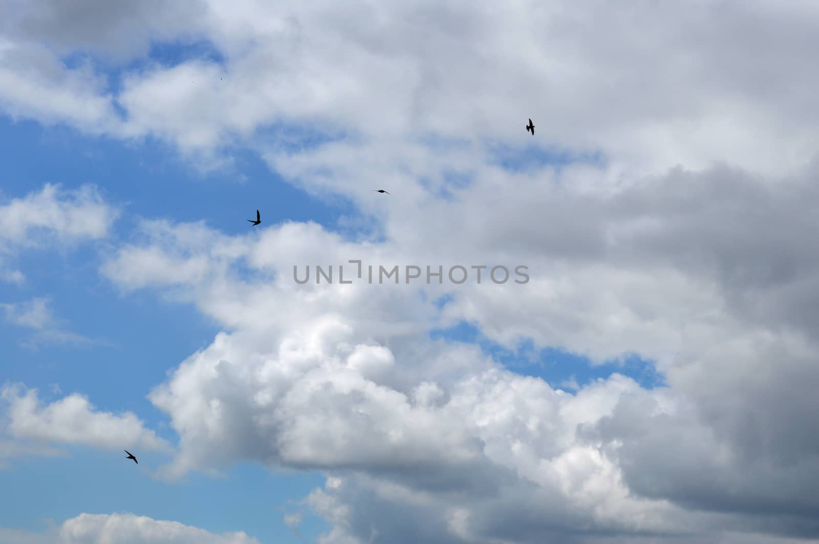 Beautiful blue sky with clouds, air nature