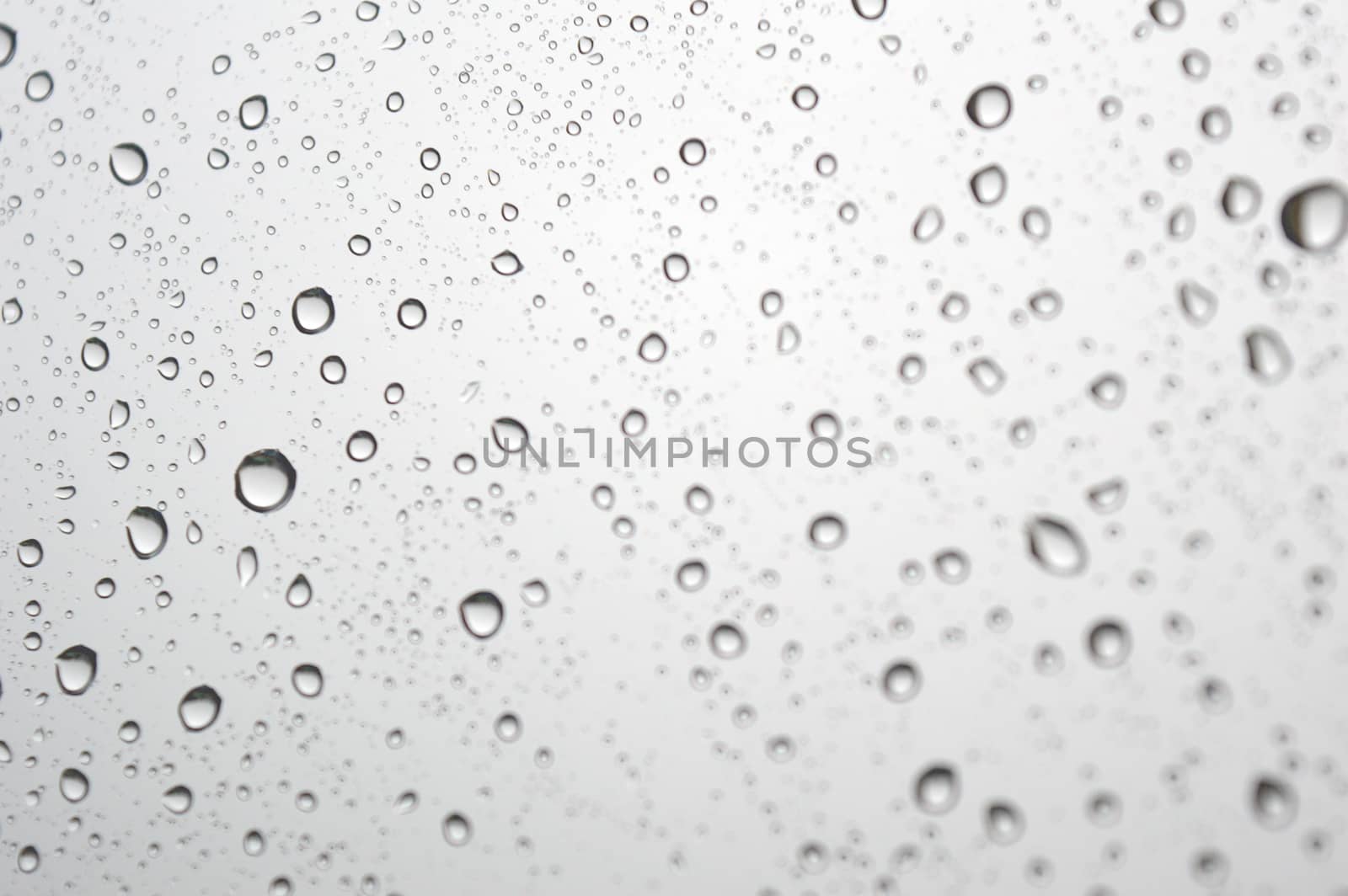 Drops of rain on the window, shallow dof.