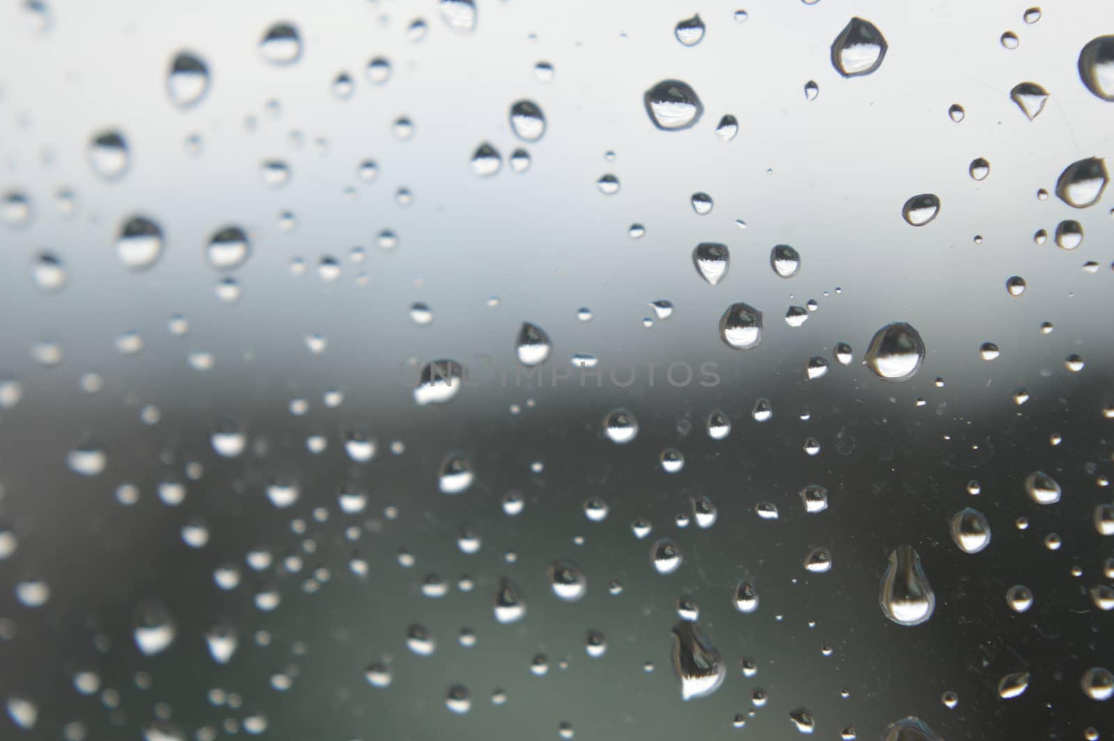 Drops of rain on the window, shallow dof.