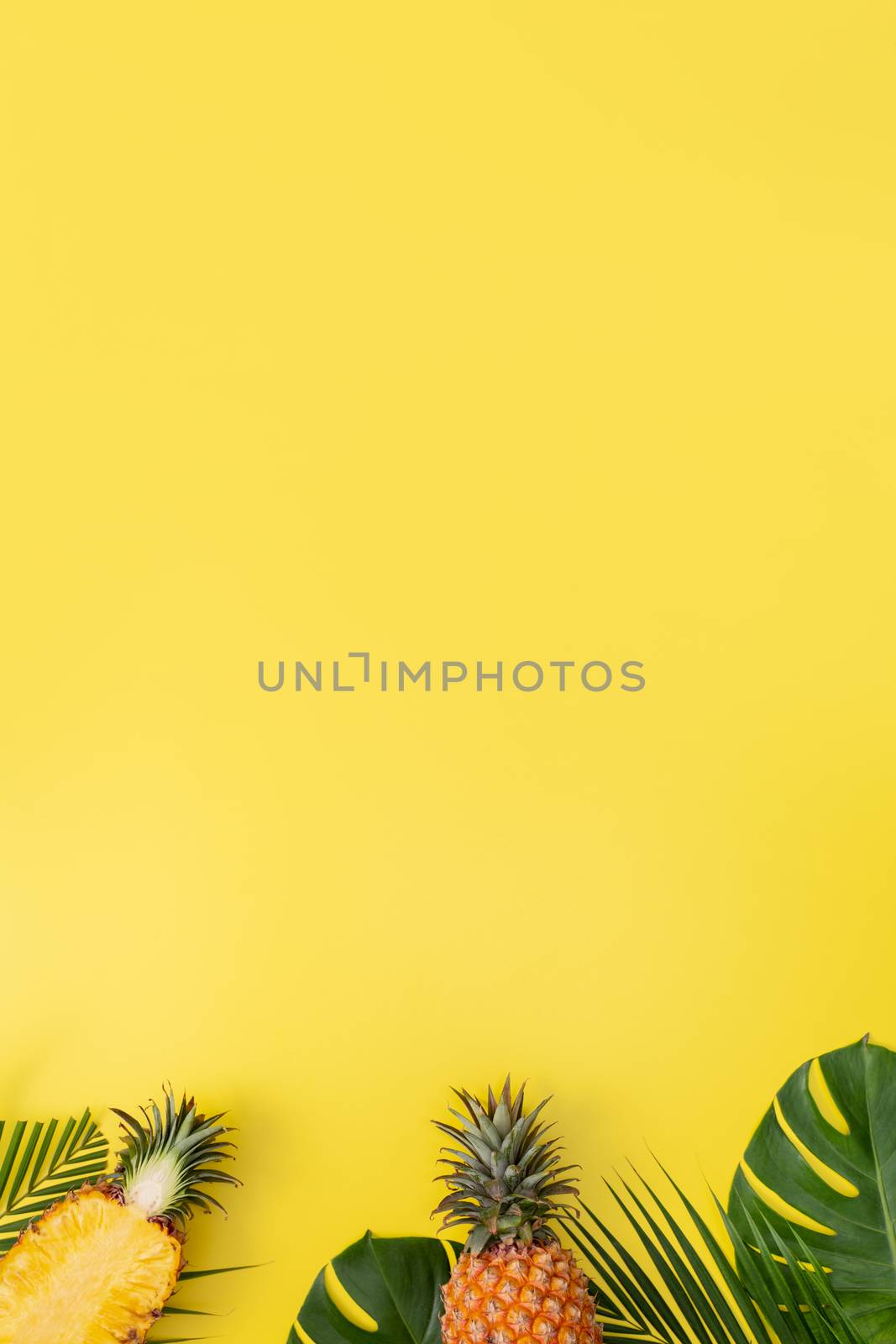 Beautiful pineapple on tropical palm monstera leaves isolated on by ROMIXIMAGE