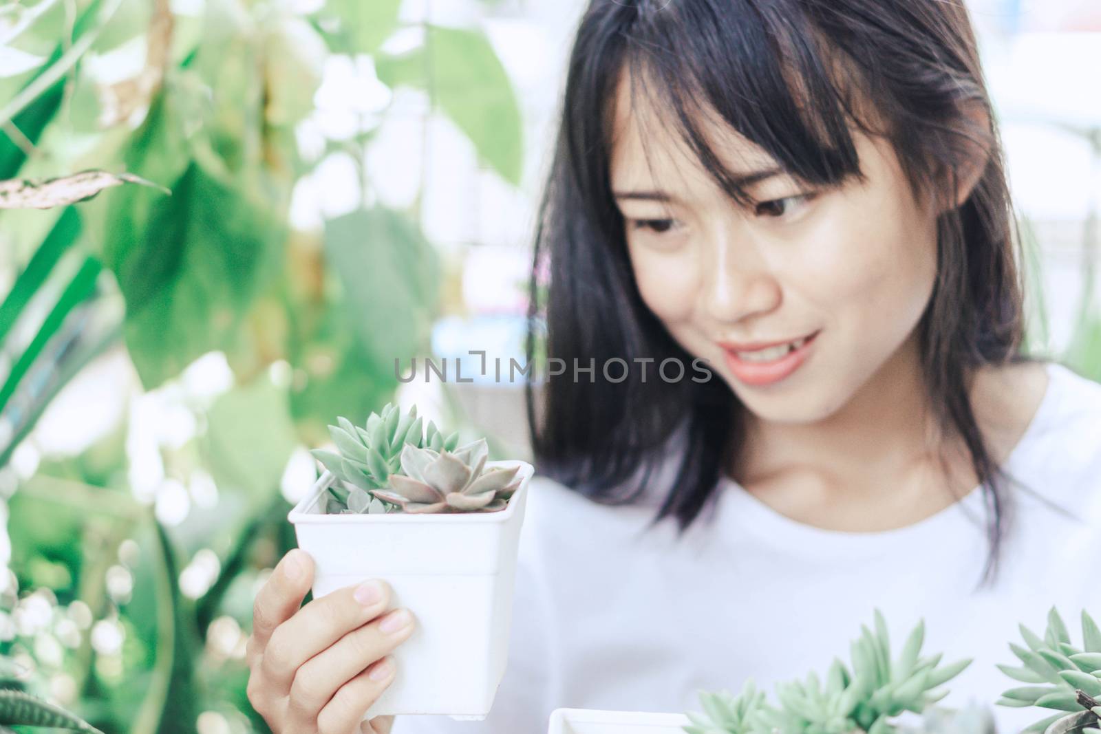 Woman hand holding succulent plant in pot for decoration with vintage tone, selective focus