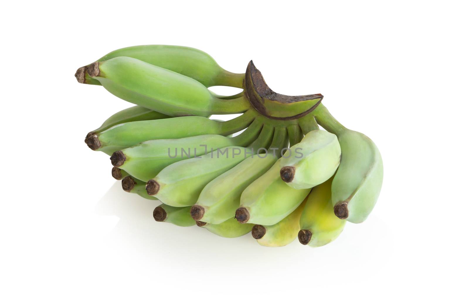 Banana branch isolated on white background