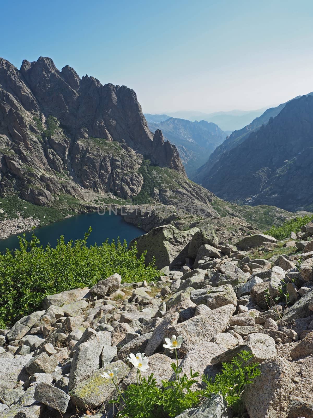 scenery of high mountains with blue lake, green bushes and white mountain flowers on a blue sky background