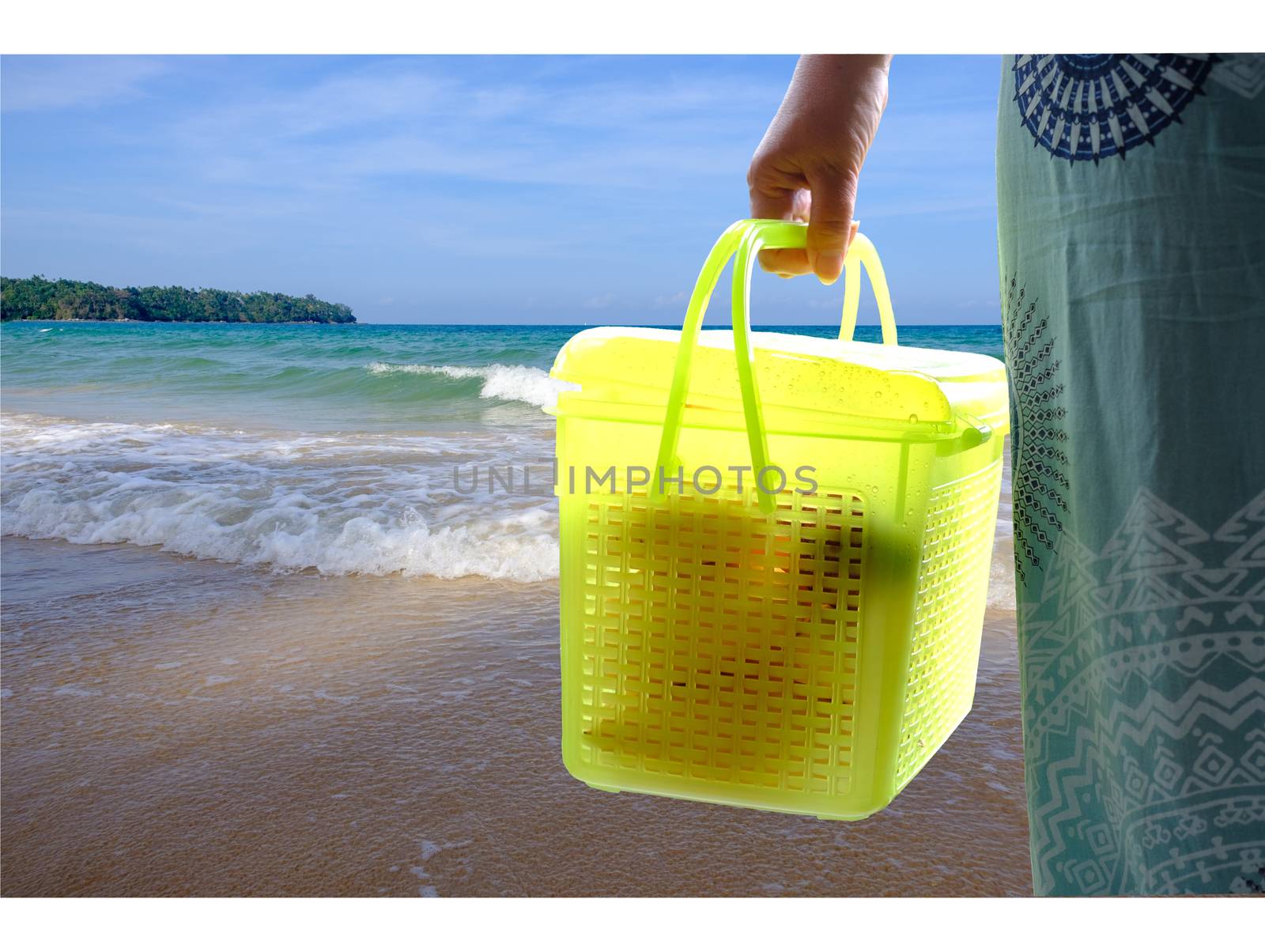 Woman hand holding plastic box green container with fruits for transportation and seaside background. 