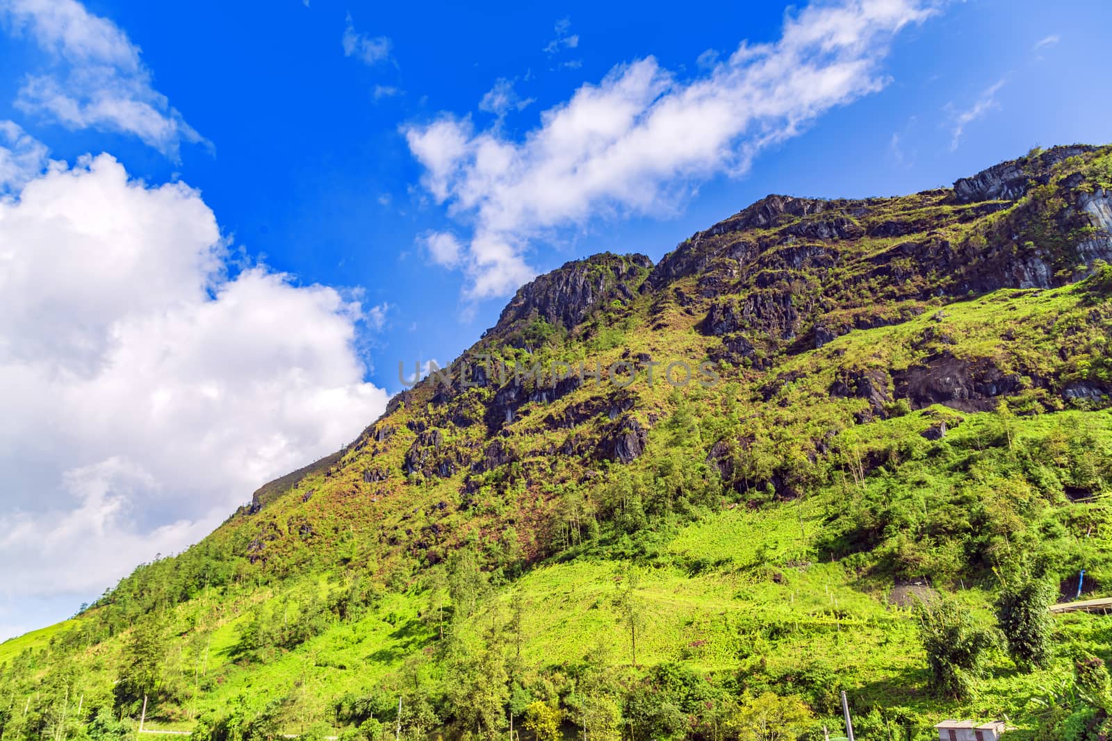 landscape terraces rice fields green grass blue sky cloud of Sapa, north Vietnam.