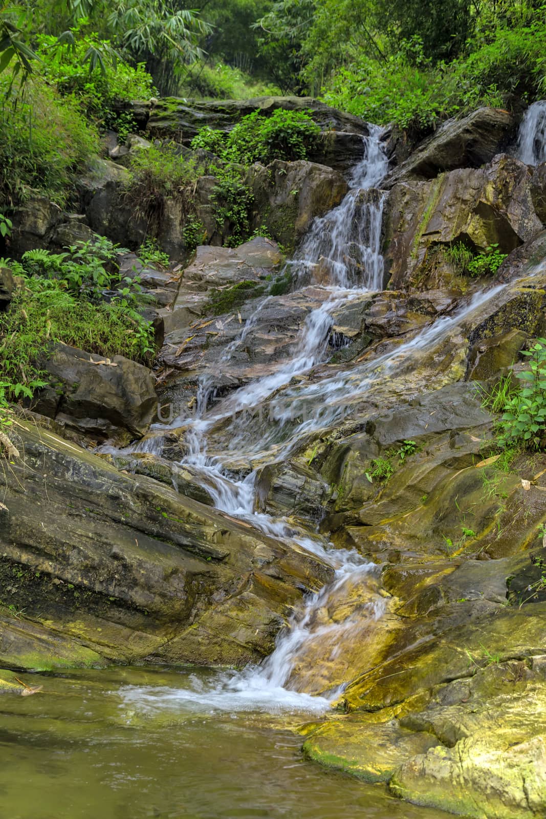 Waterfall cascade in jungle tropical rainforest rock mountain ri by Vladyslav
