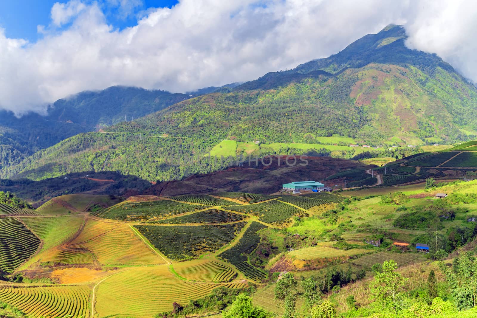 mountain hills valley on summer travel trip Sapa, Vietnam.