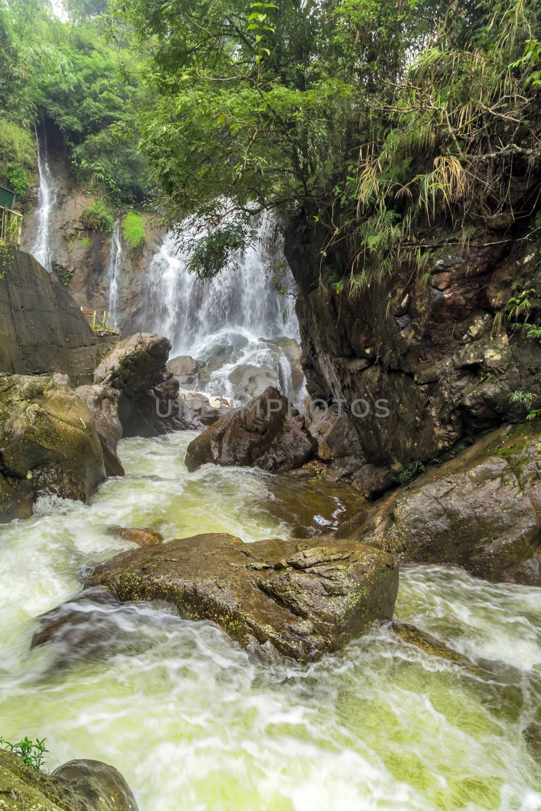 Waterfall in the rainforest jungle by Vladyslav
