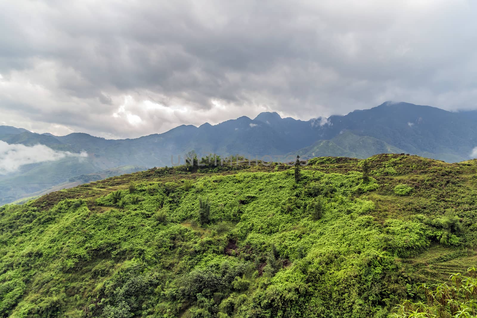 Rice field terraces. Mountain Sunrise clouds Forest hill landscape green hill