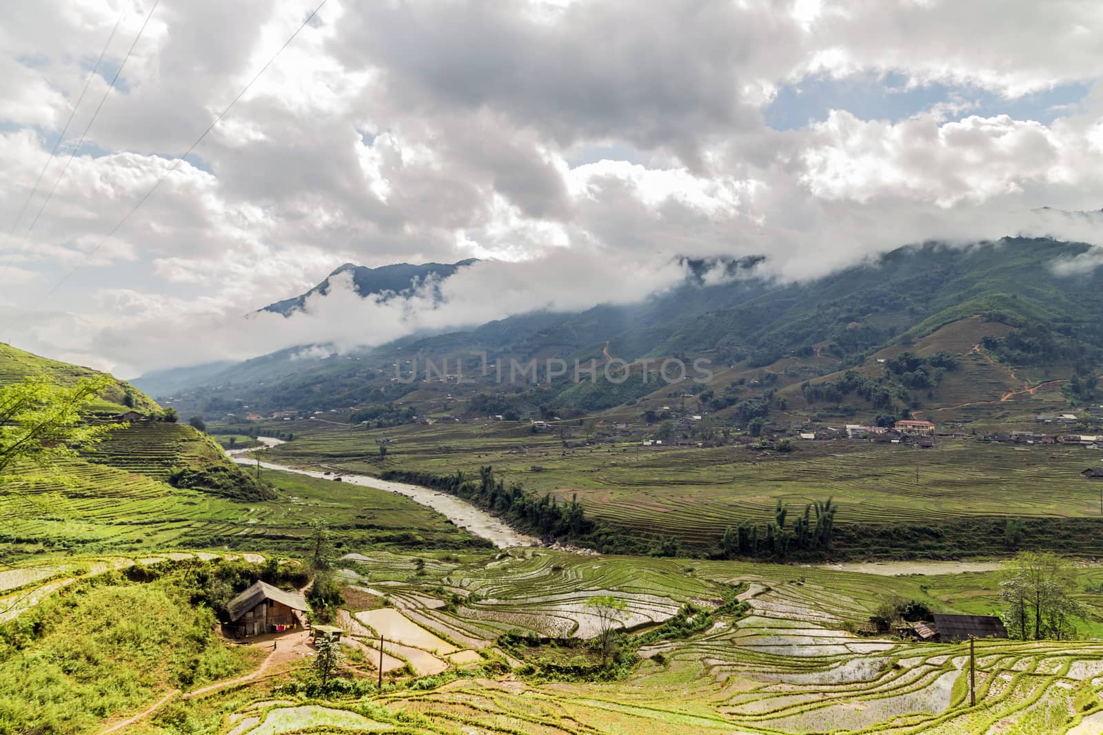 rice terraced agriculture field village in SA PA, Northwest Vietnam