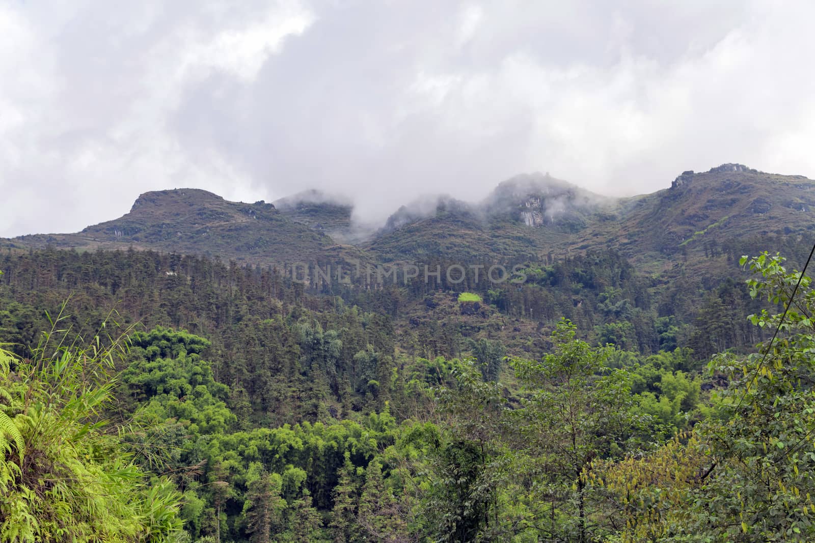 Mountain view top of rocky with misty valley landscape green hill