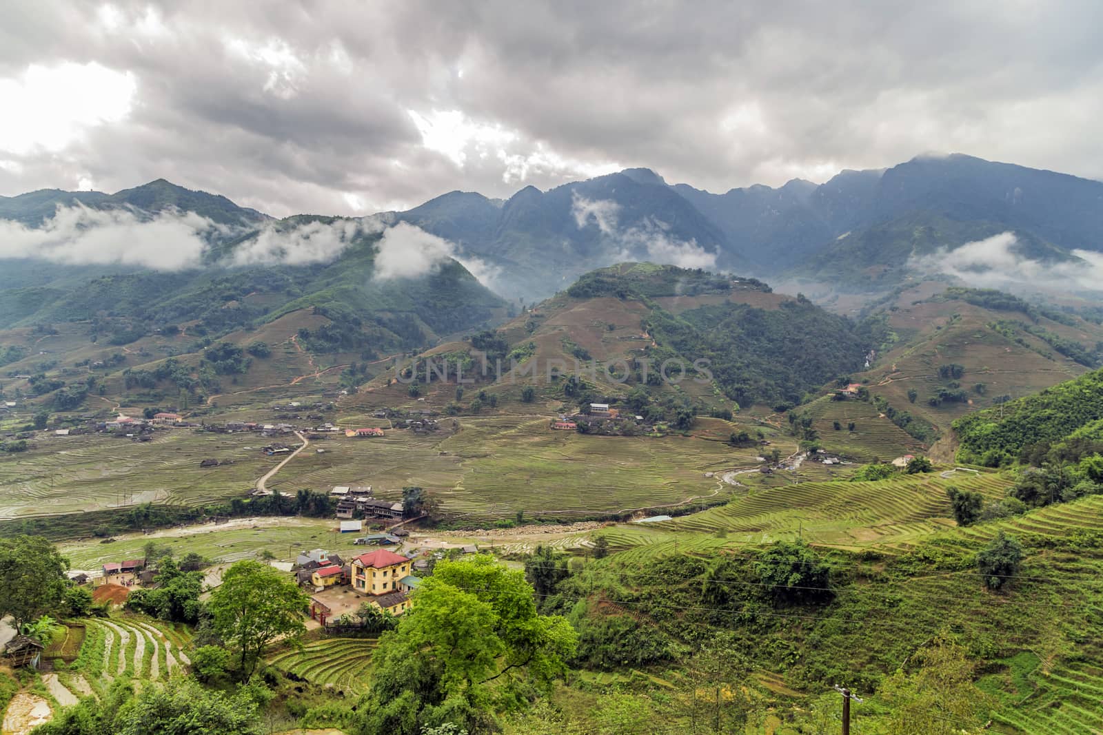 Rice field terraces Mountain paddy view in the clouds village Sapa, Lao Cai Province, Vietnam.