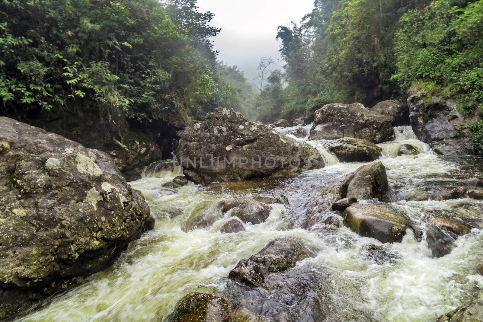 Waterfall in the rainforest jungle Sapa Valley in Lao Cai Province in Vietnam