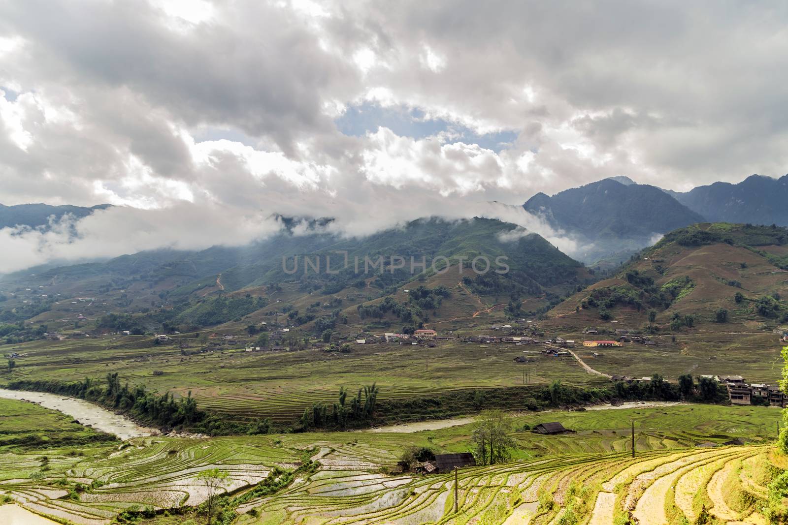 rice terraced agriculture field village in SA PA, Vietnam by Vladyslav