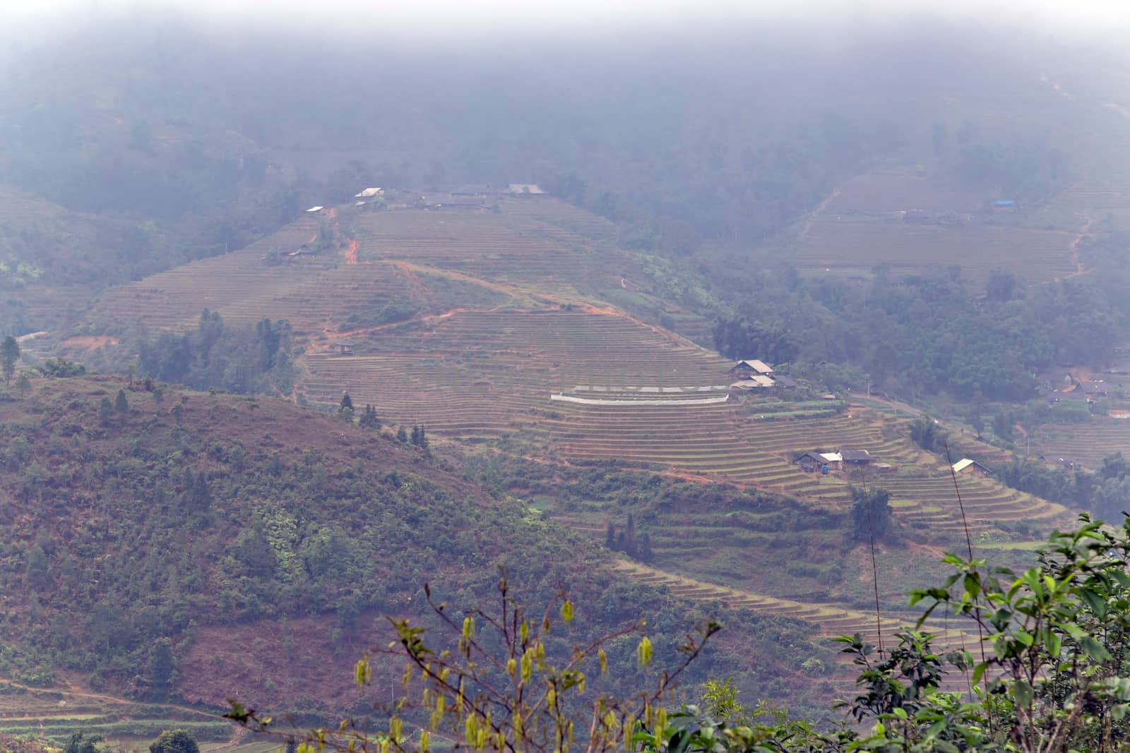 Landscape Terraced rice field view of Sapa Valley in Lao Cai Province in Vietnam