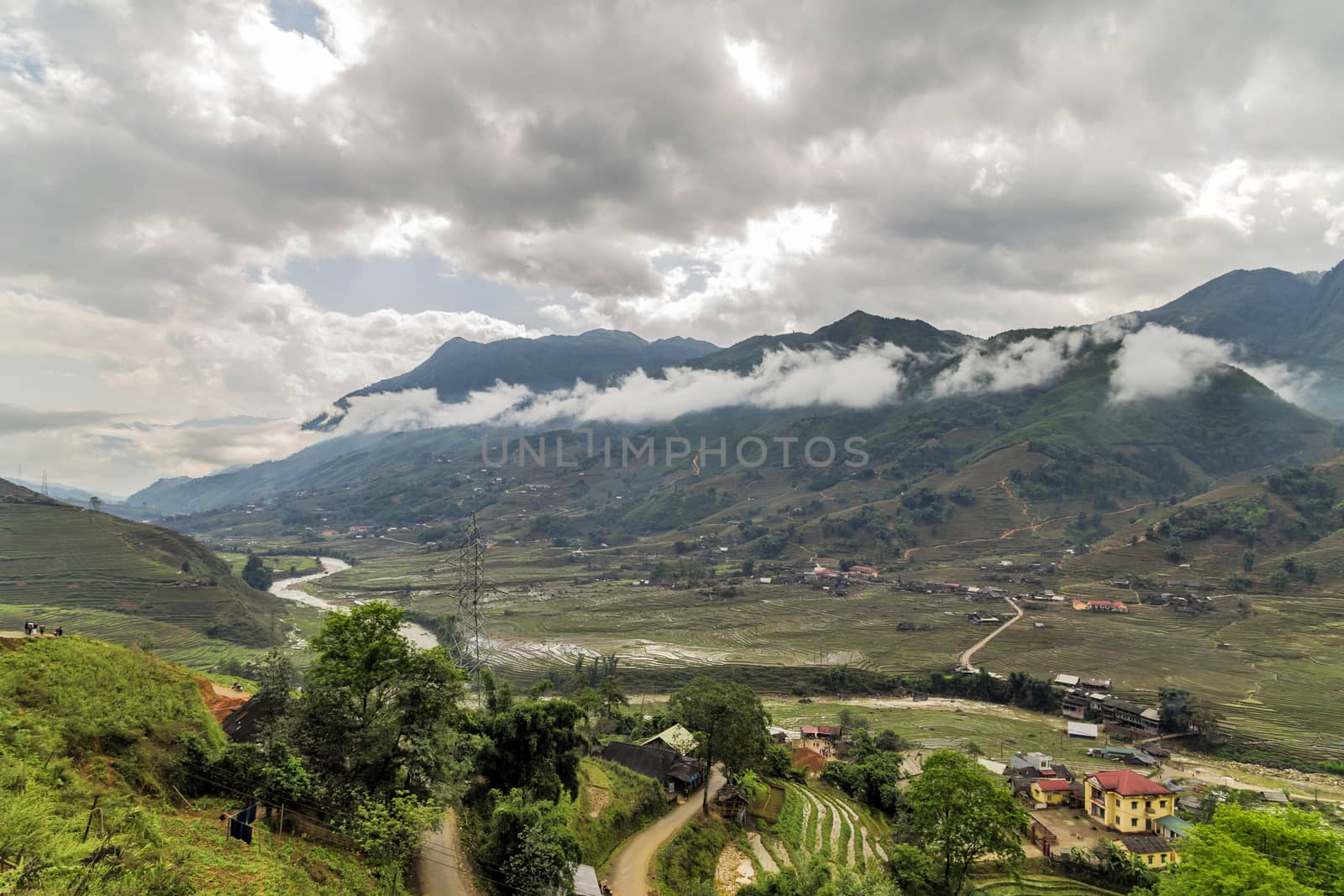 Rice field terraces Mountain paddy view in the clouds village Sapa, Lao Cai Province, Vietnam.