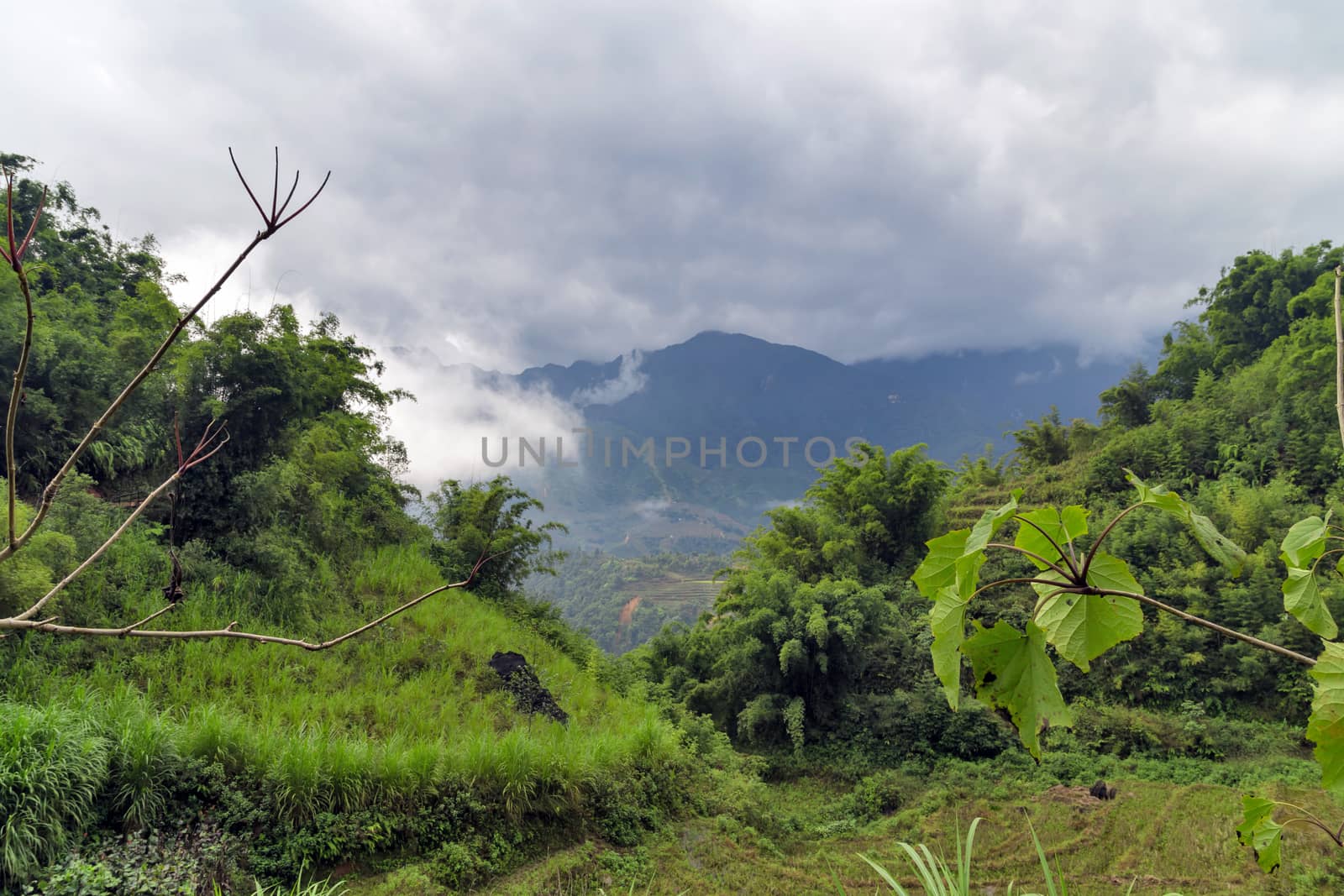 Mountain view top of rocky with misty valley landscape green hill