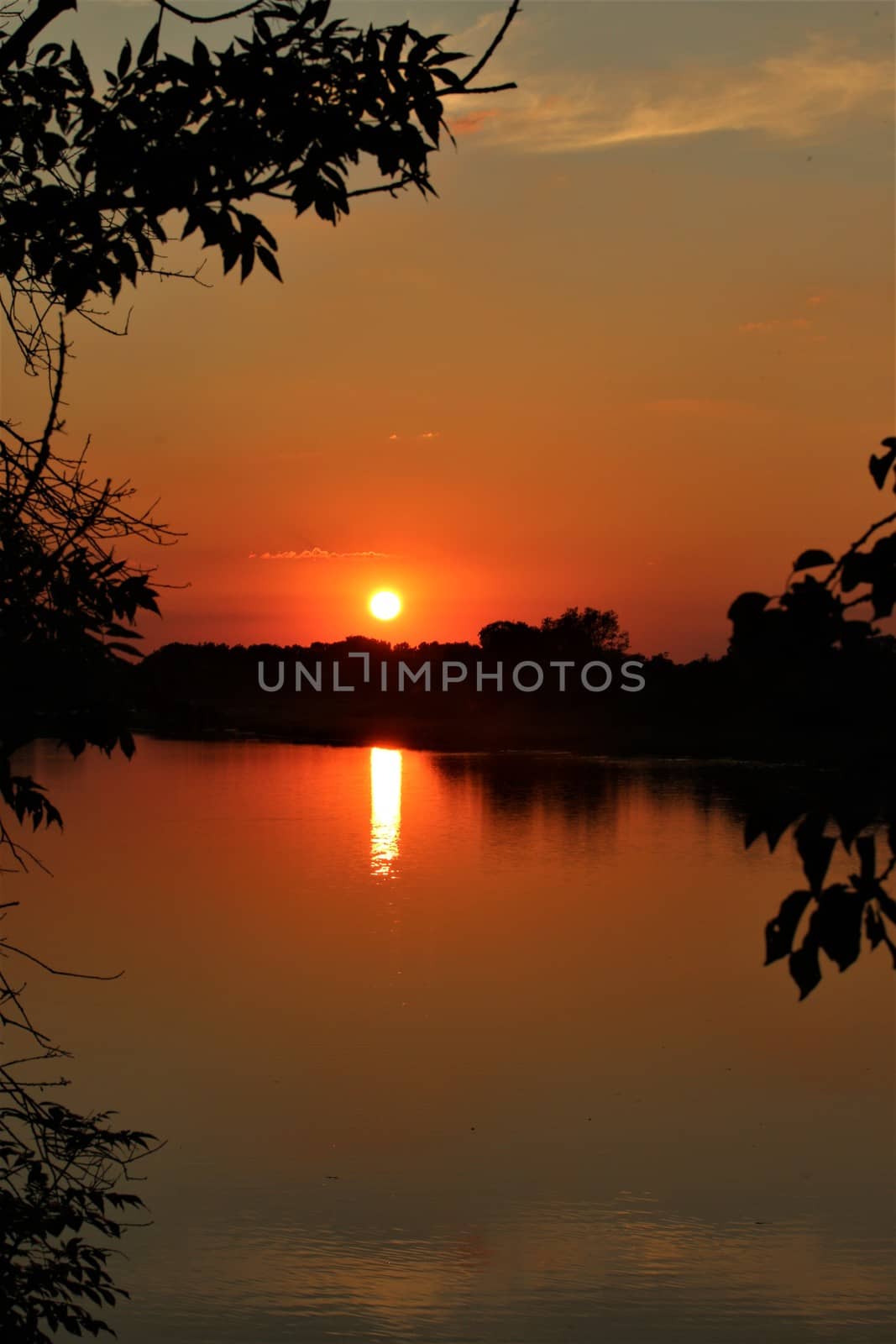 A great sunset with a lake view and bushes in the foreground