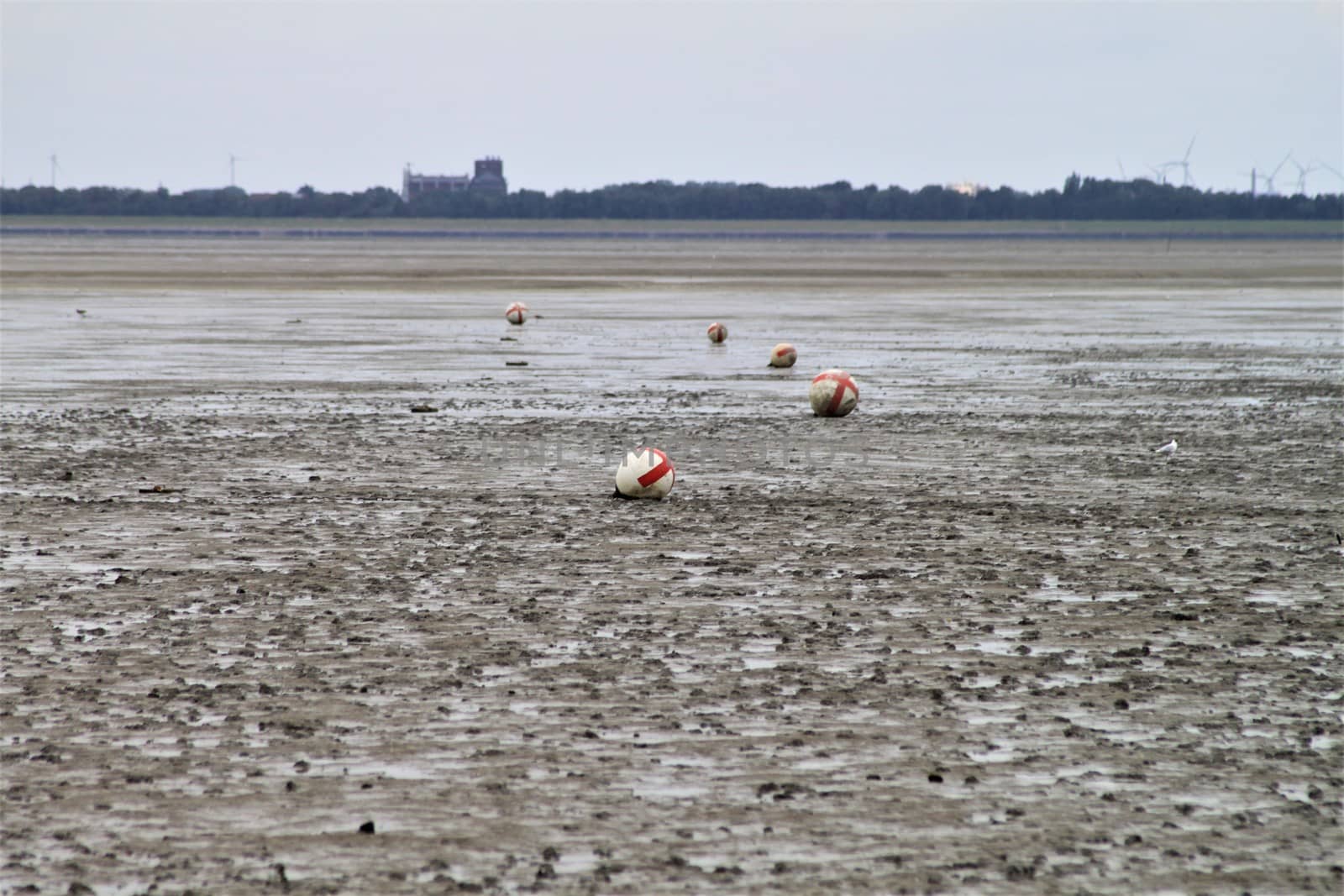 Watt landscape with buoys at low tide in northern Germany